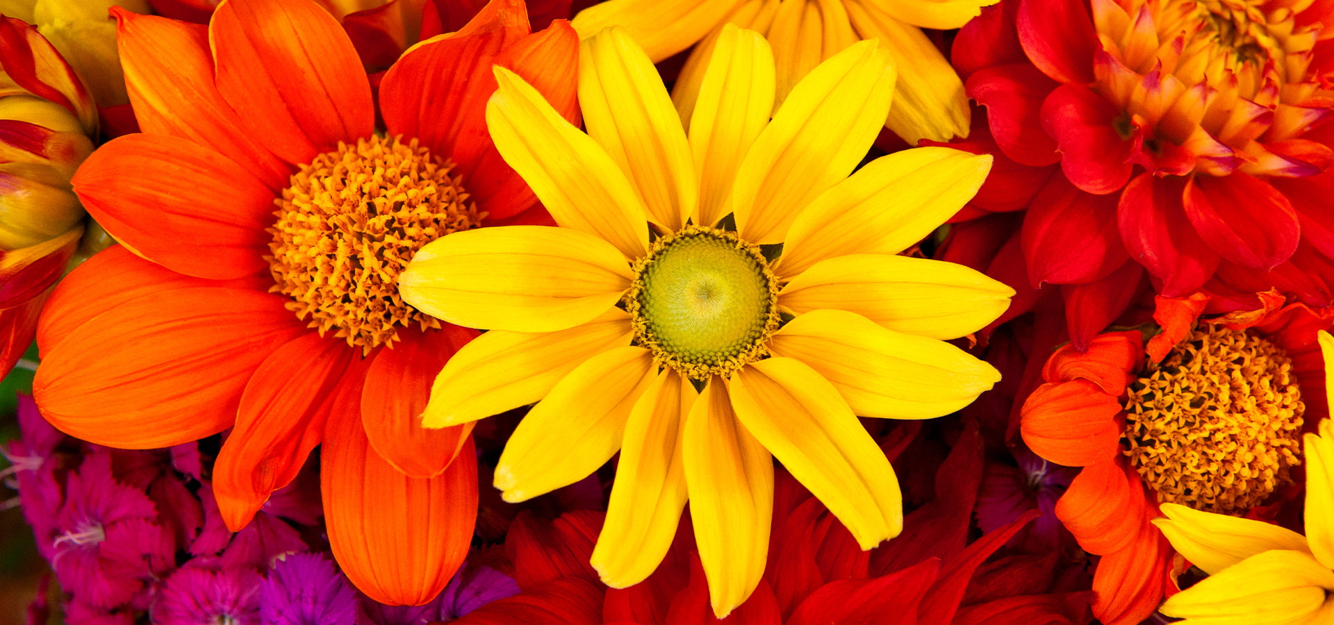 5 TIPS TO TAKE CARE OF NATURAL FLOWERS