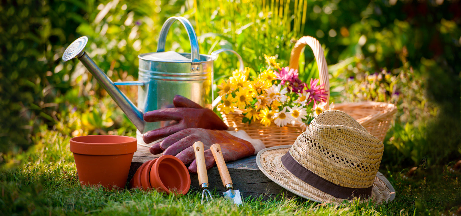 7 GENERAL GARDENING TIPS