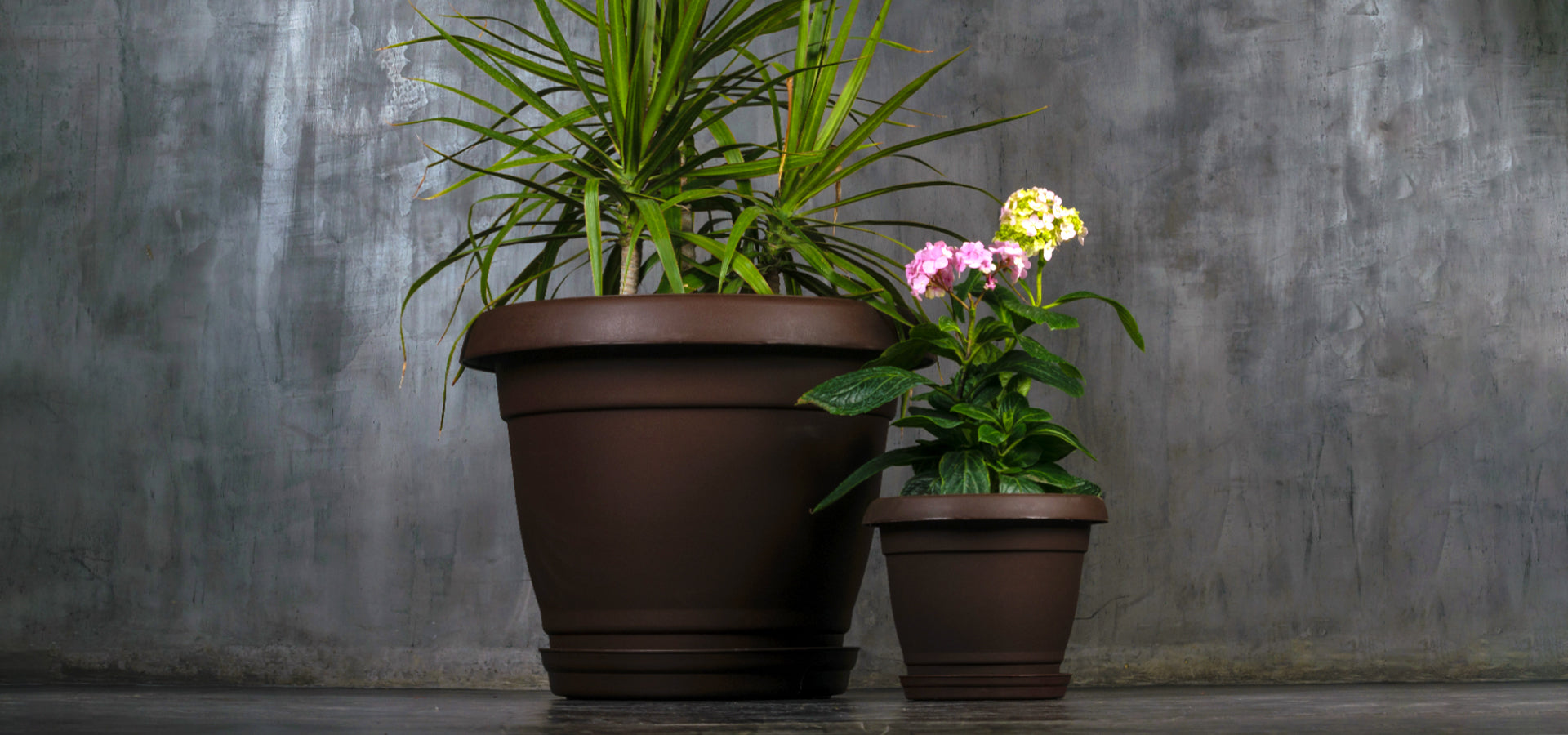 8 HOMEMADE GARDENING TRICKS THAT WILL KEEP YOUR PLANTS SPLENDID