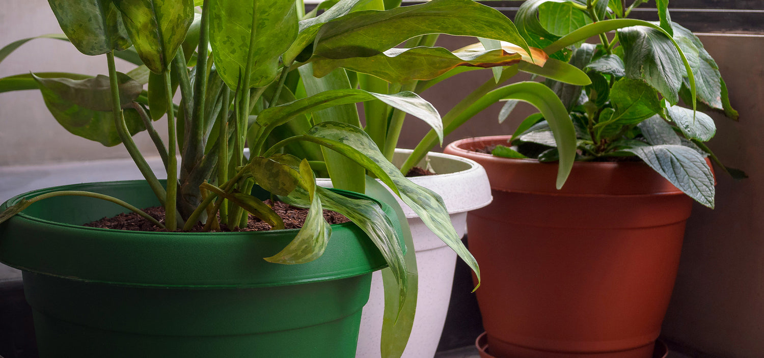 GUIDE TO THE DESIGN OF GARDEN