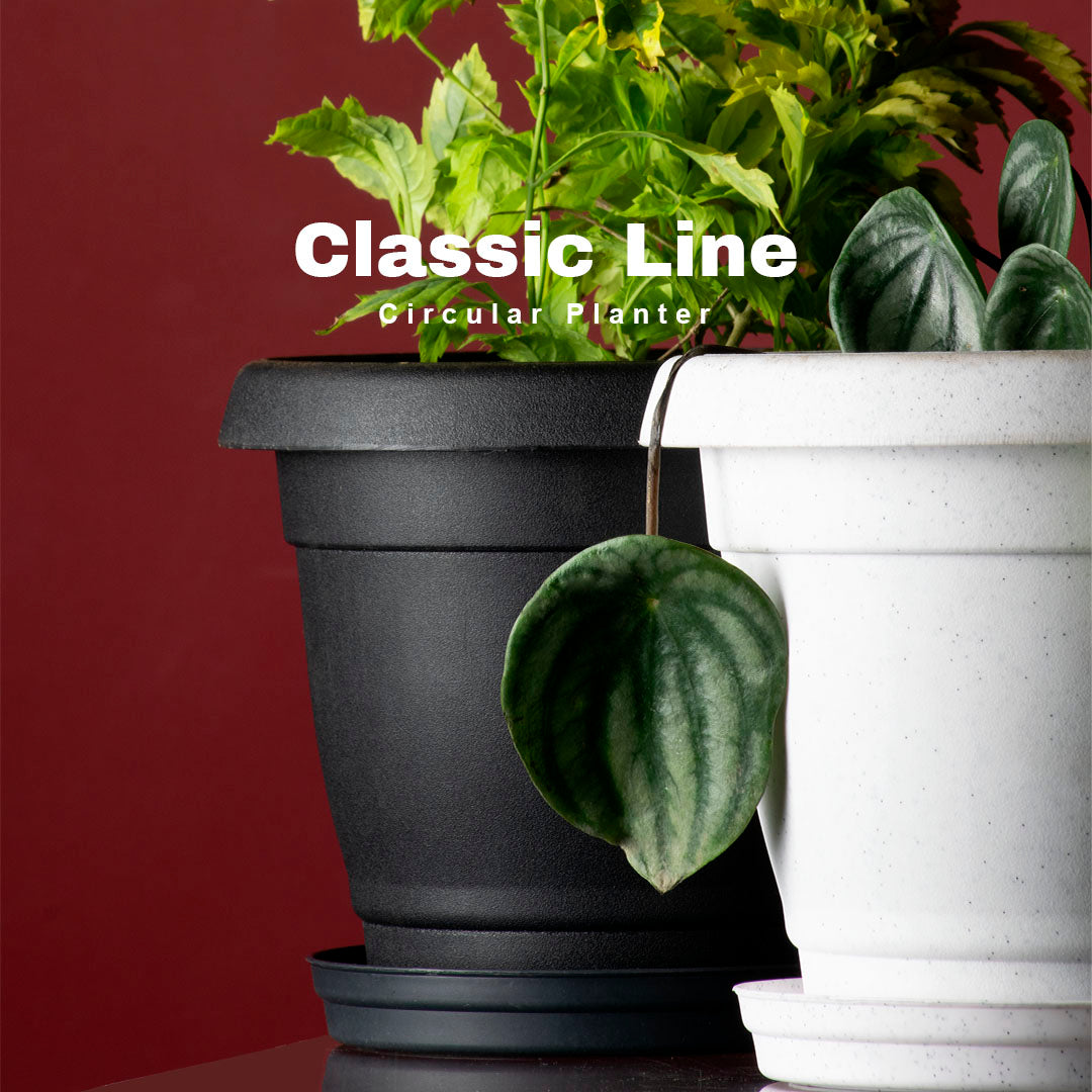 Classic Line Home