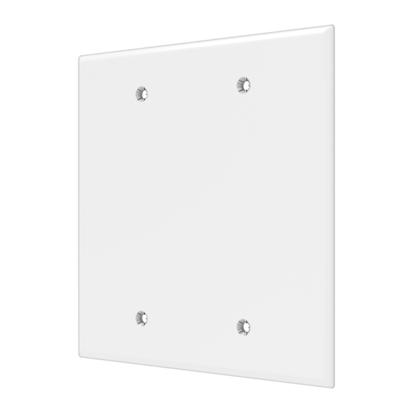 2-Gang Blank Wall Plate, Standard Size, Polycarbonate Thermoplastic