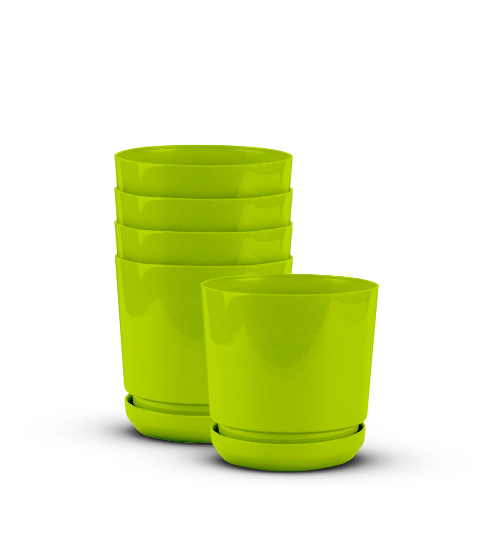Cylindrical Pot 6" - Artistic Line