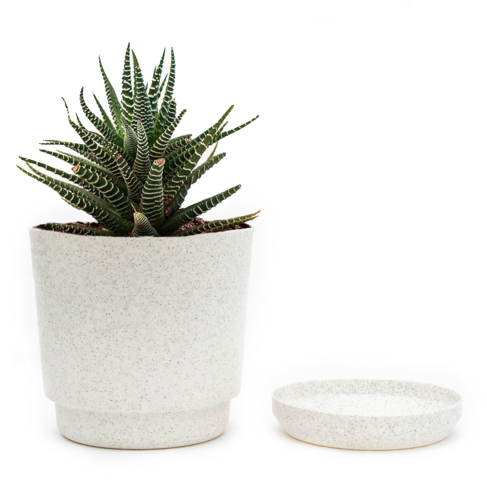 Floral Pot - Artistic Line