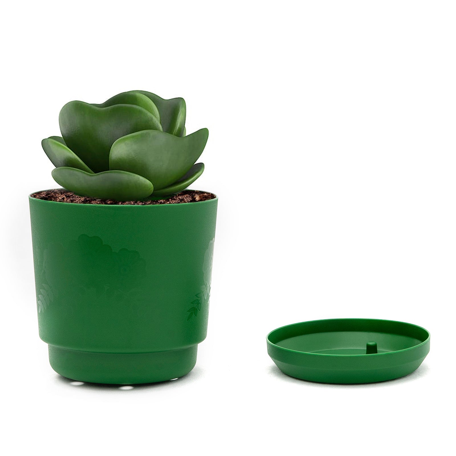 Floral Pot - Artistic Line