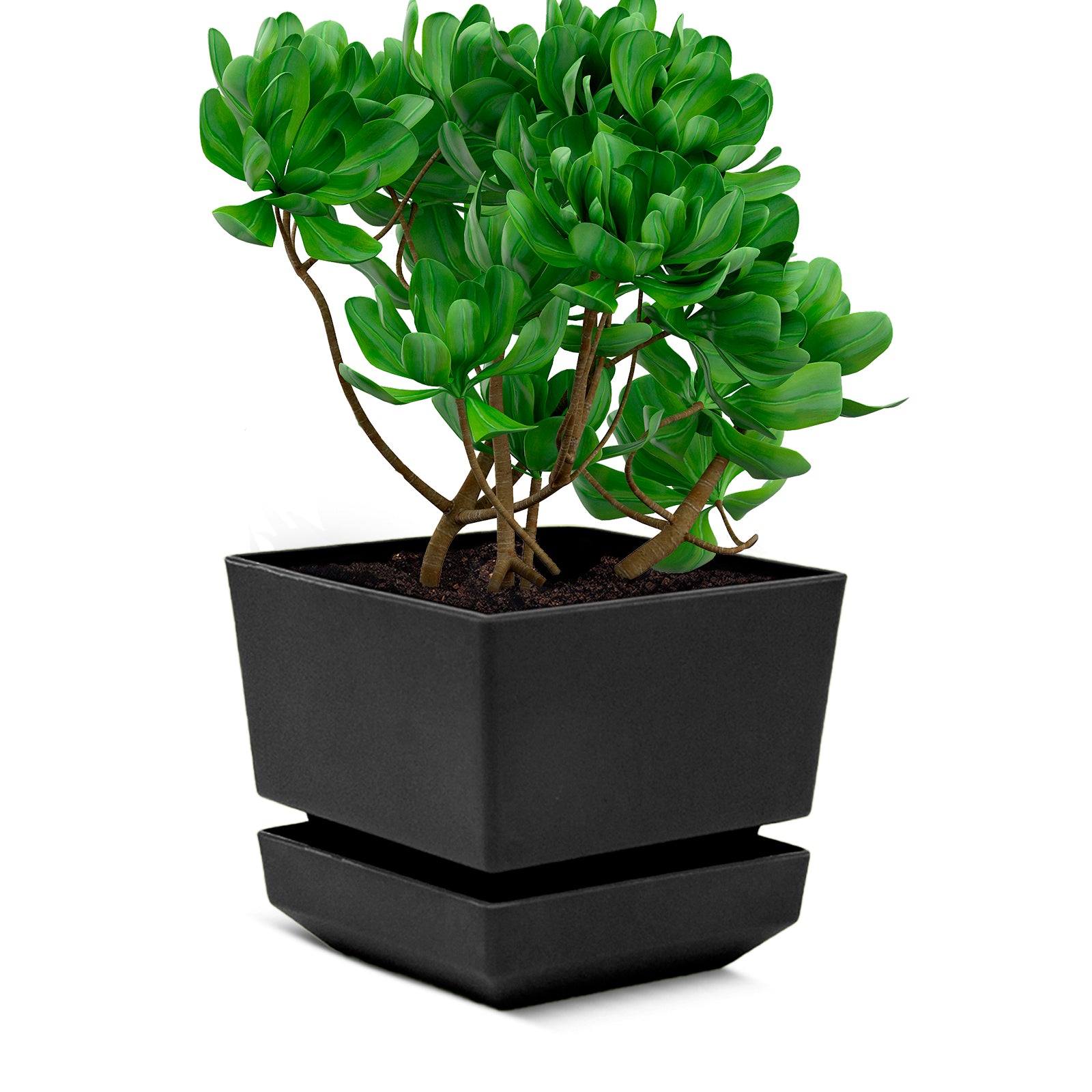 Square Pot 6" L18 Textured Finish - Artistic Line