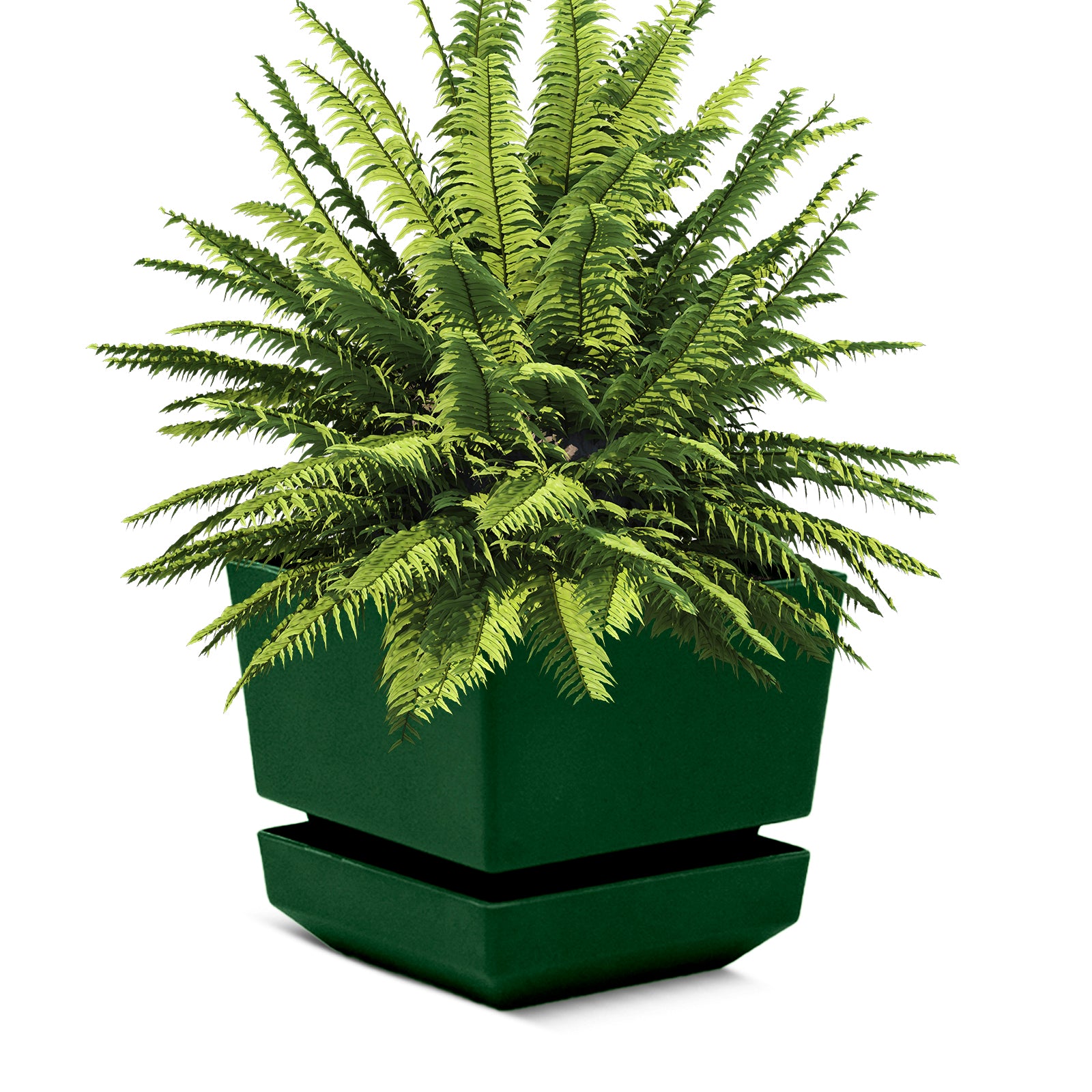 Square Pot 6" L18 Textured Finish - Artistic Line