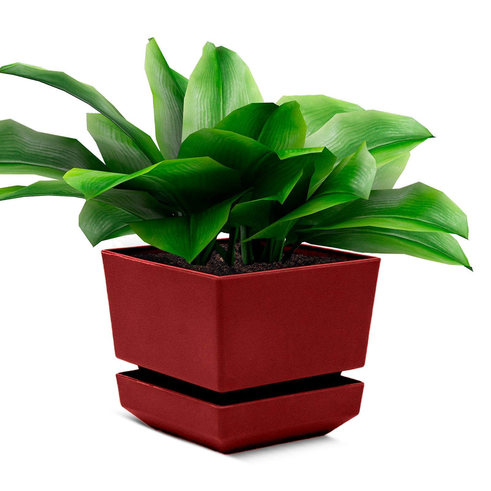Square Pot 5" L15