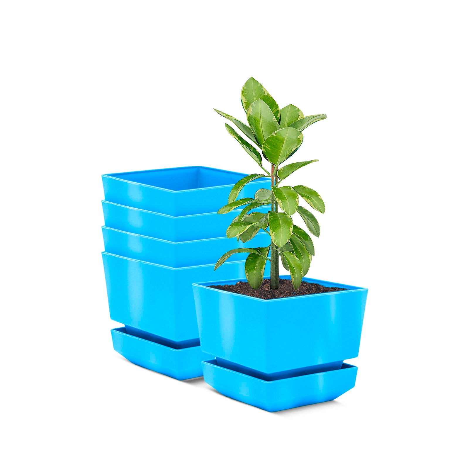 Square Pot 5" L15 Smooth Finish - Artistic Line