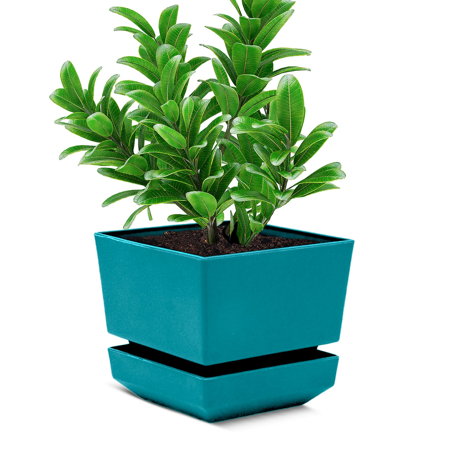 Square Pot 4" L12 Textured Finish - Artistic Line