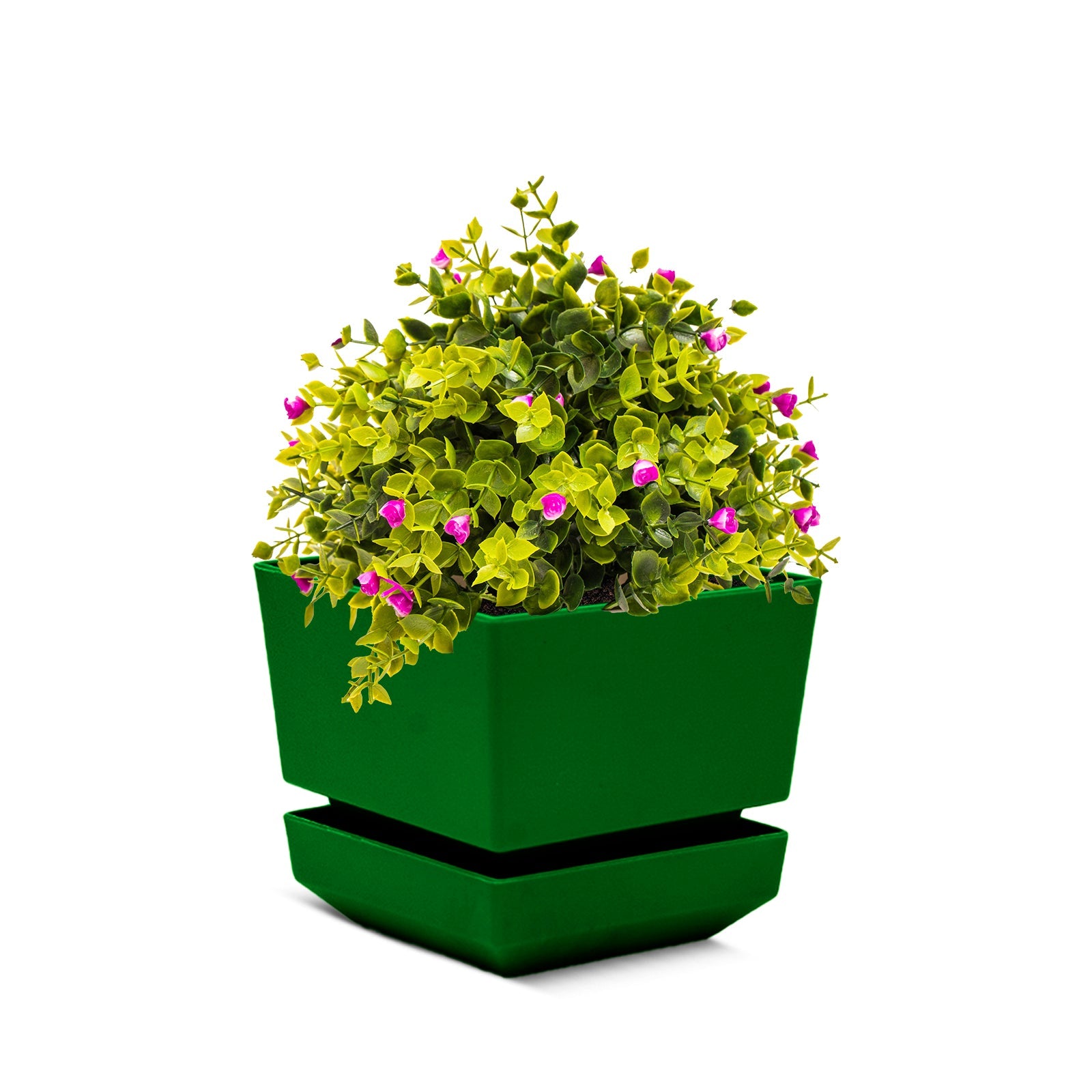 Square Pot 5" L15