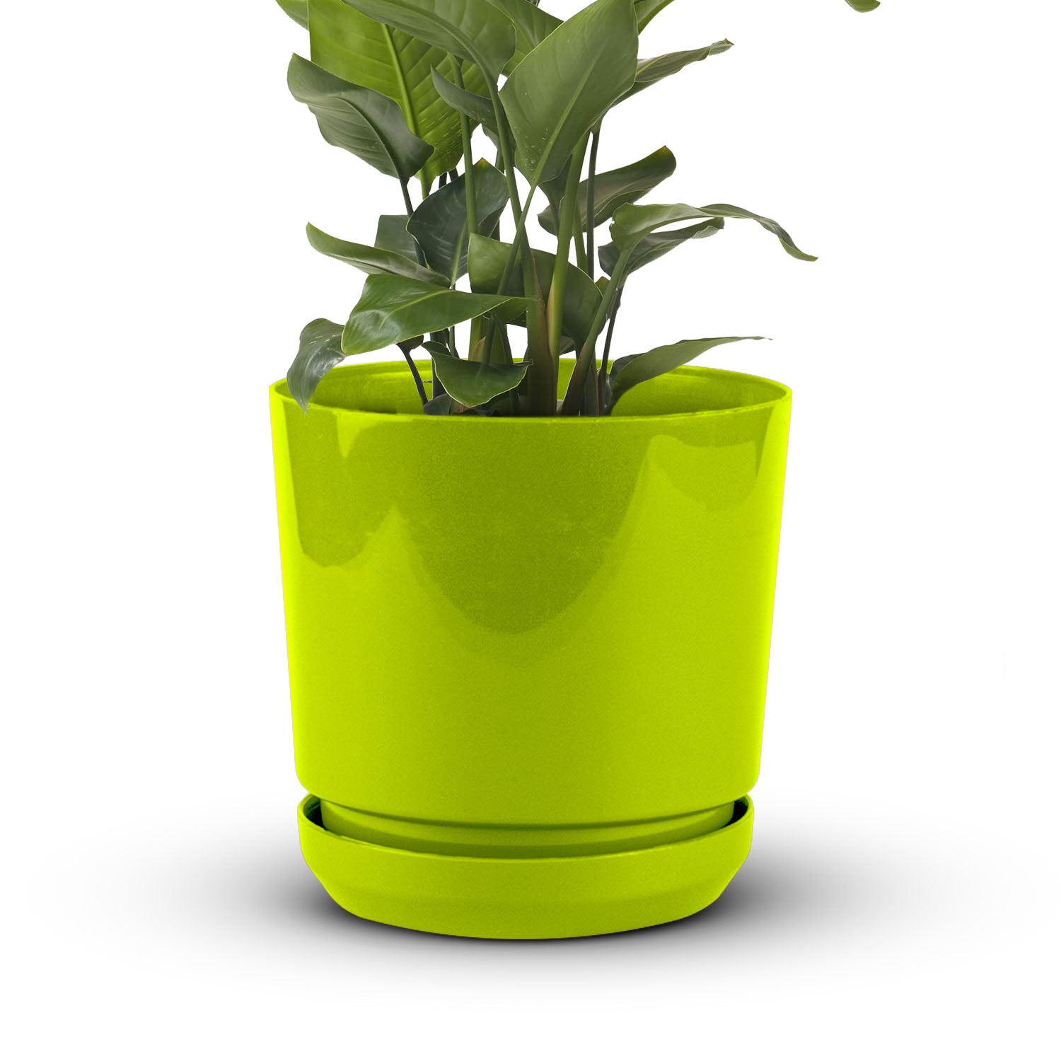 Cylindrical Pot 6" - Artistic Line