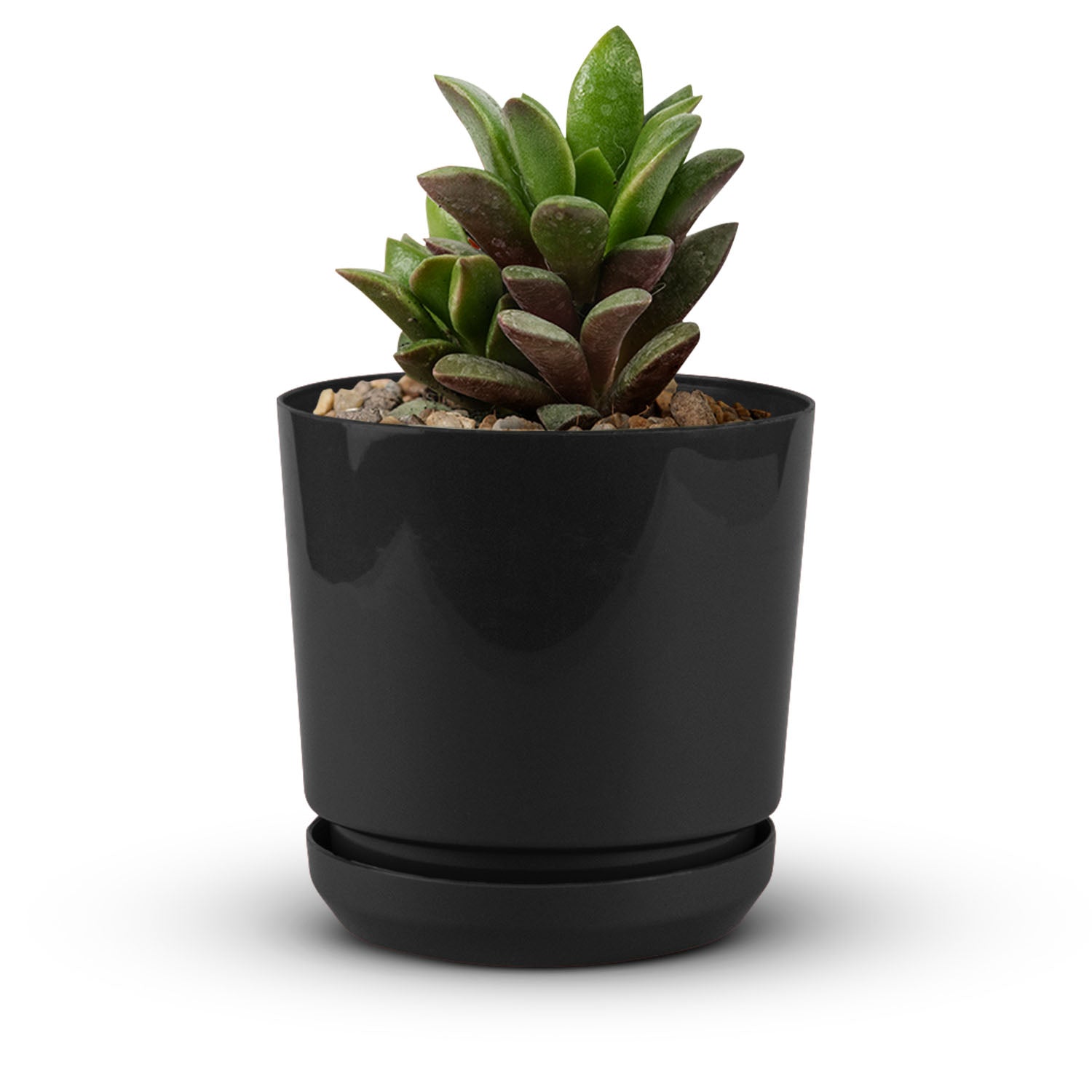 Cylindrical Pot 6" - Artistic Line