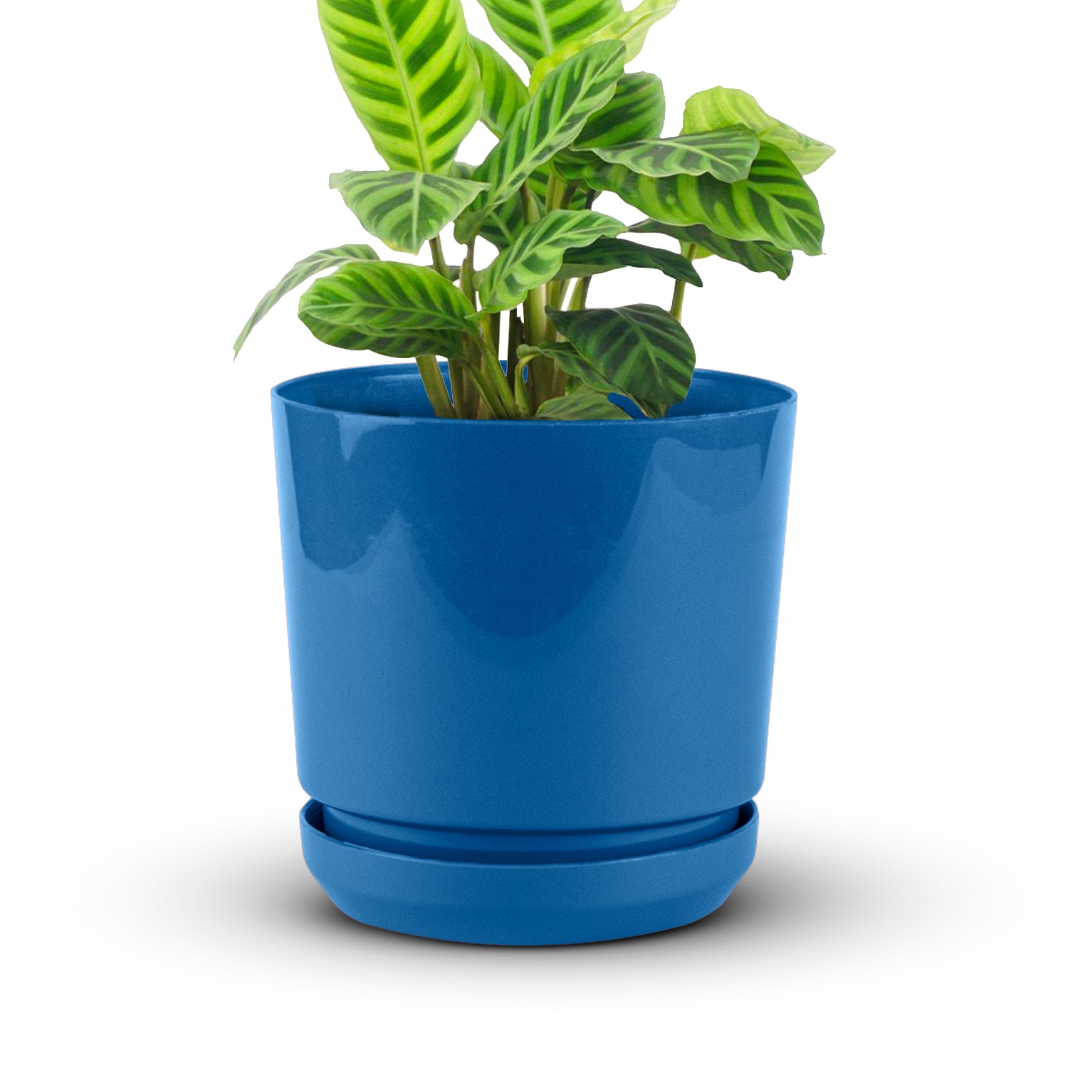 Cylindrical Pot 6" - Artistic Line