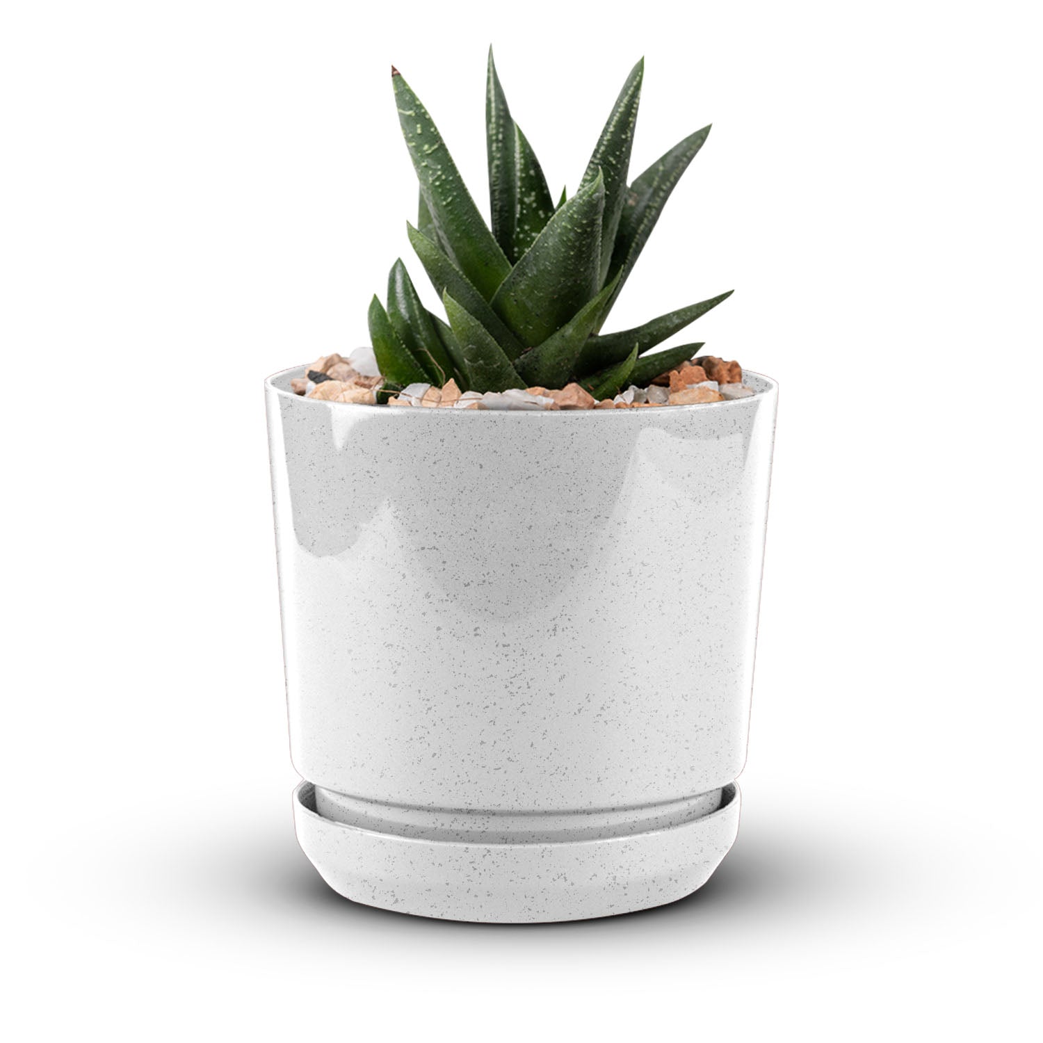 Cylindrical Pot 6" - Artistic Line
