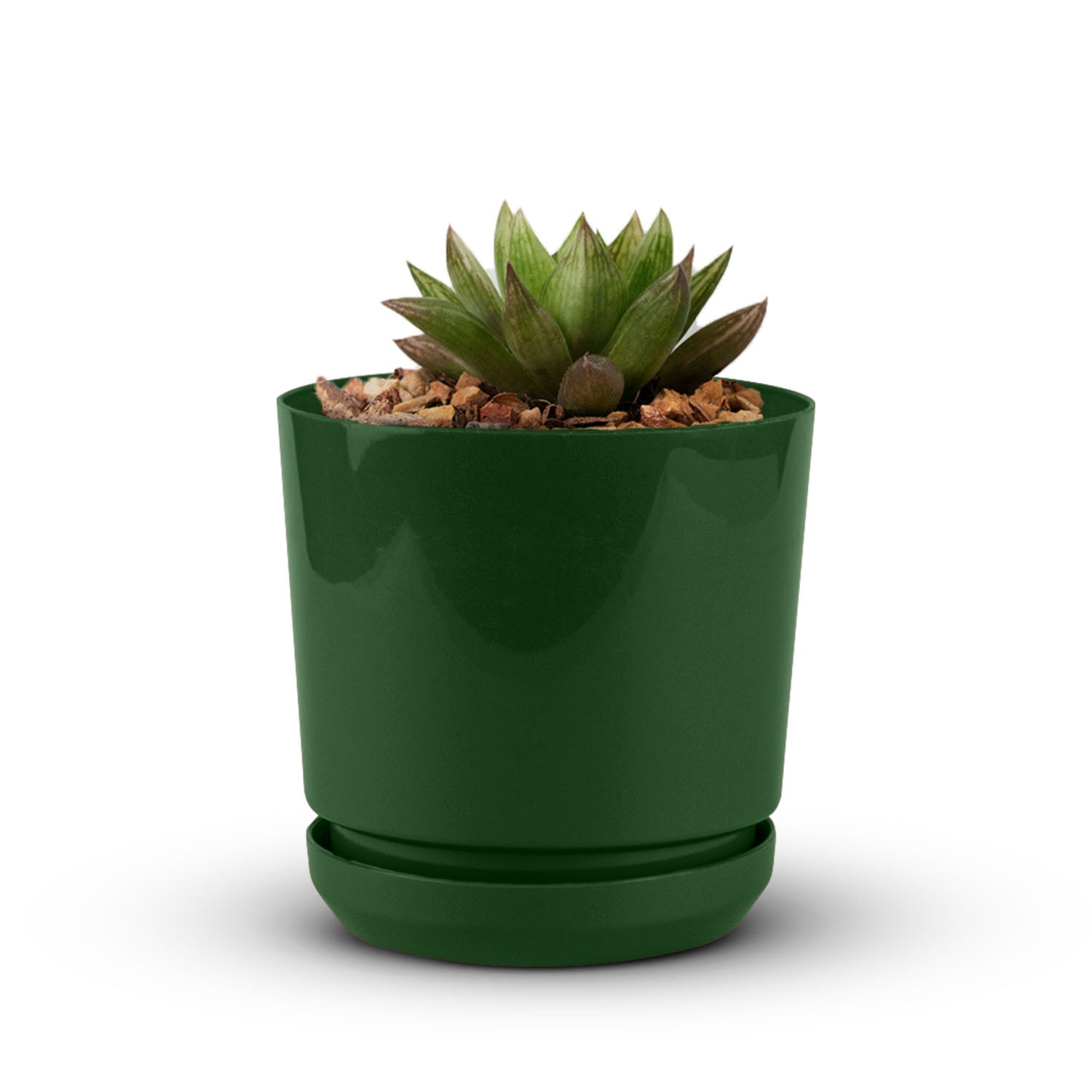 Cylindrical Pot 6" - Artistic Line