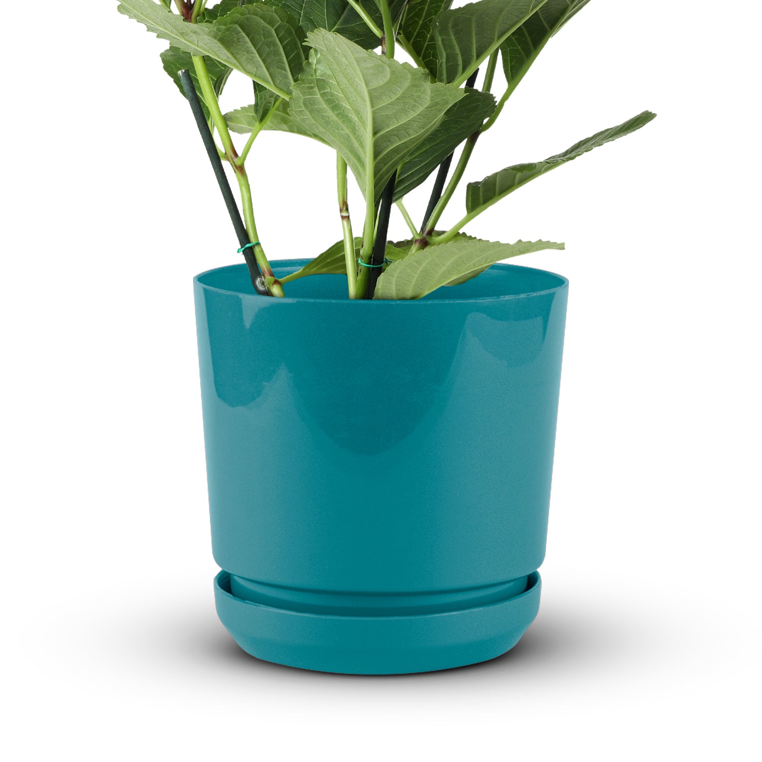 Cylindrical Pot 6" - Artistic Line
