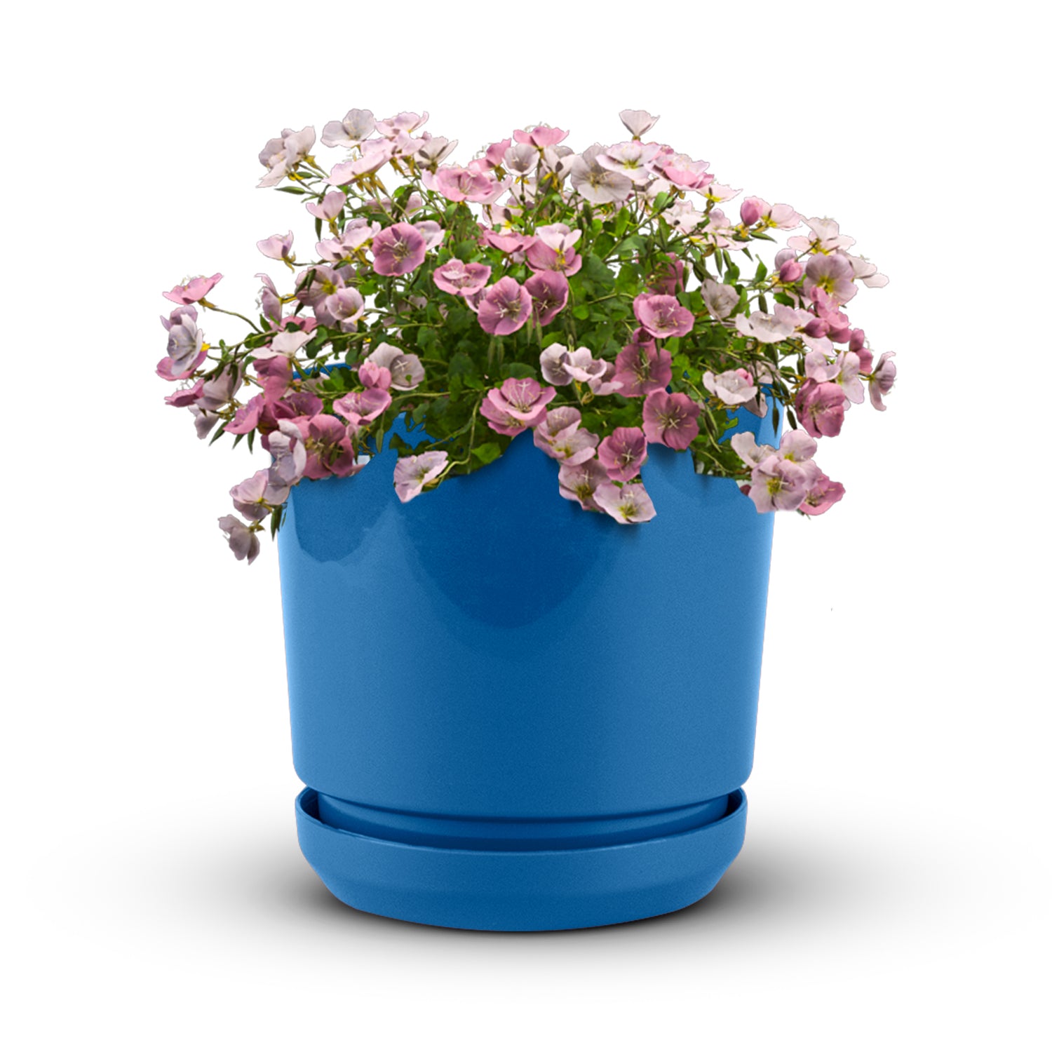 Cylindrical Pot 8" - Artistic Line