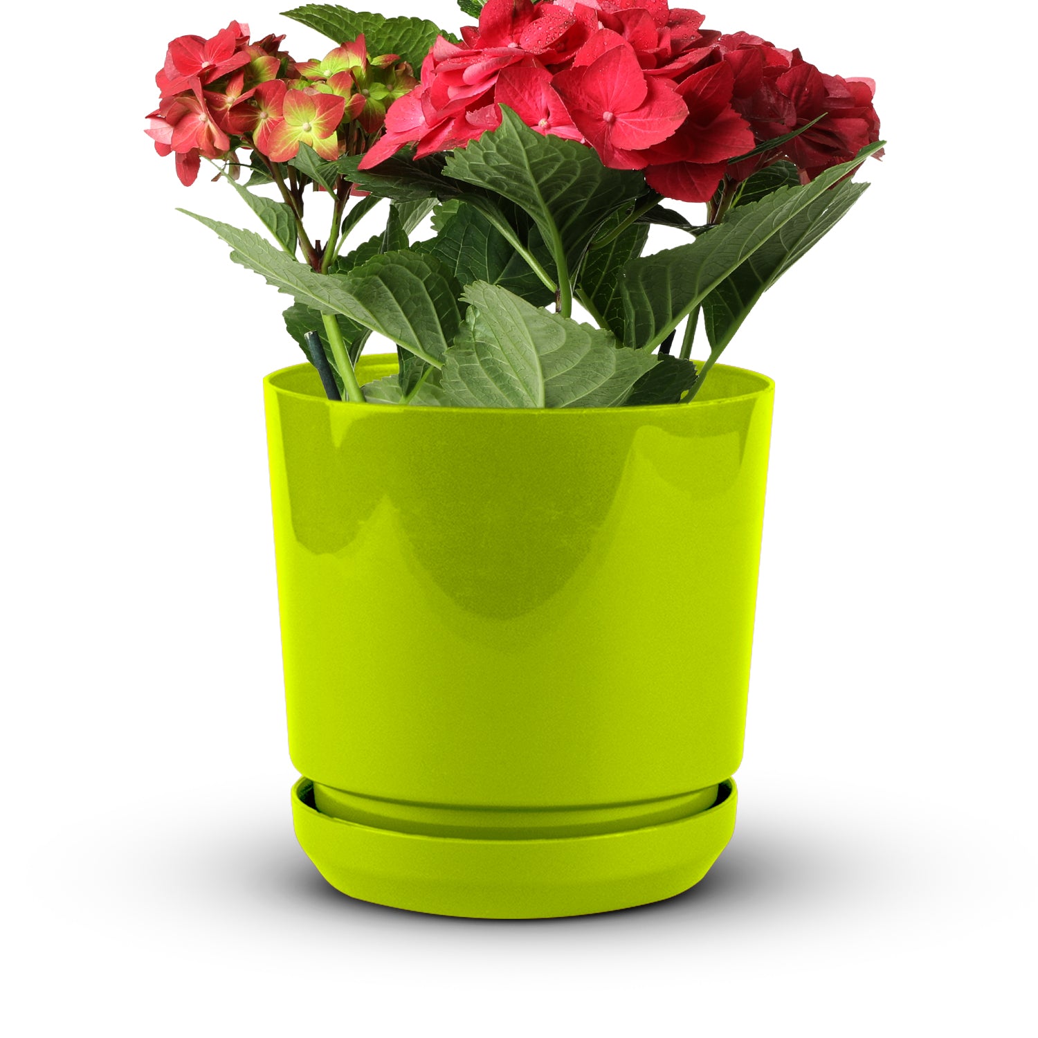 Cylindrical Pot 8" - Artistic Line