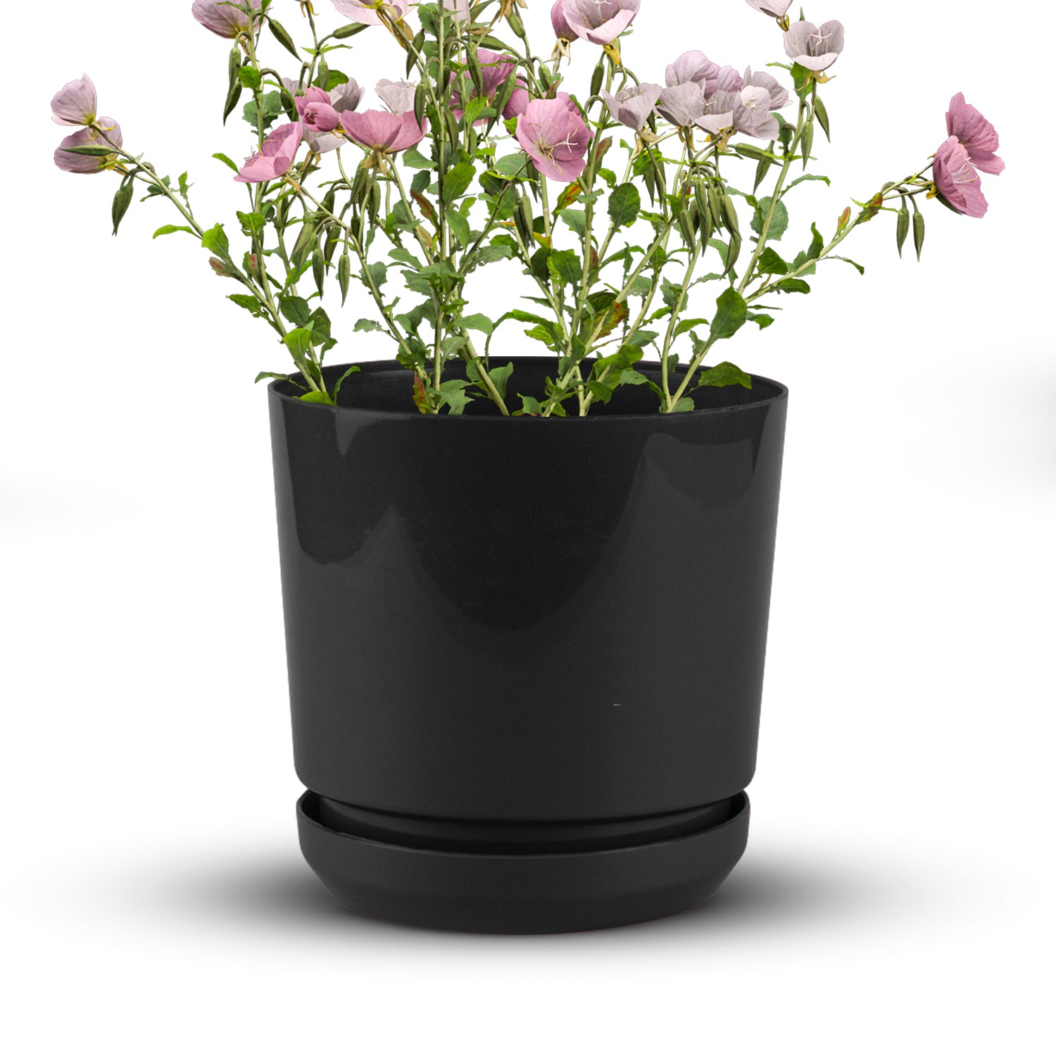 Cylindrical Pot 8" - Artistic Line