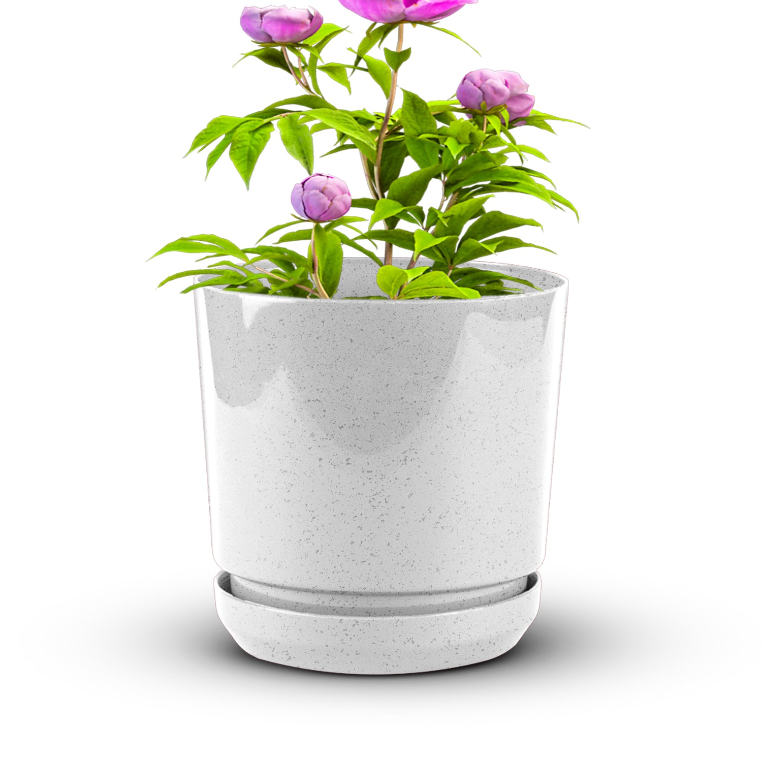 Cylindrical Pot 8" - Artistic Line