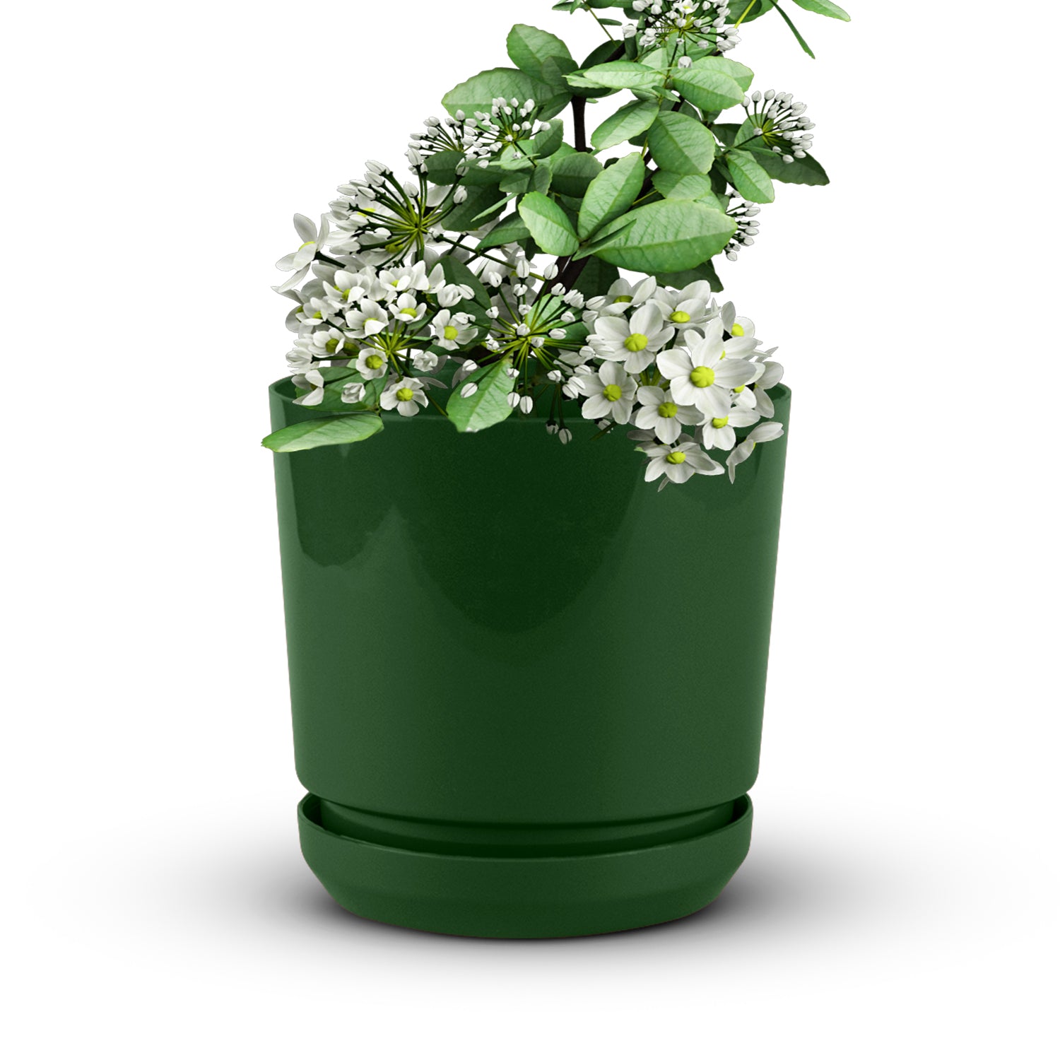 Cylindrical Pot 8