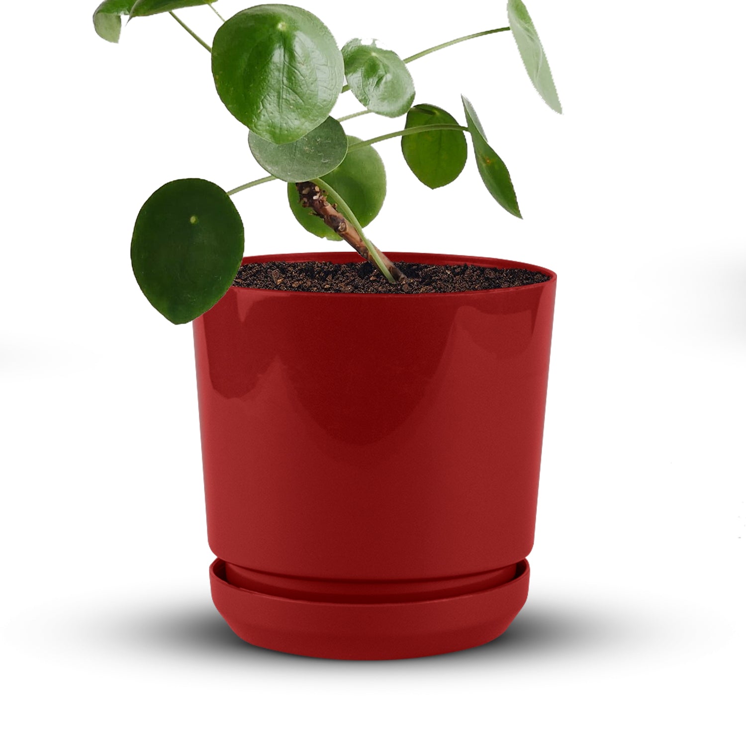 small red plant pots Cylindrical Pot 4"