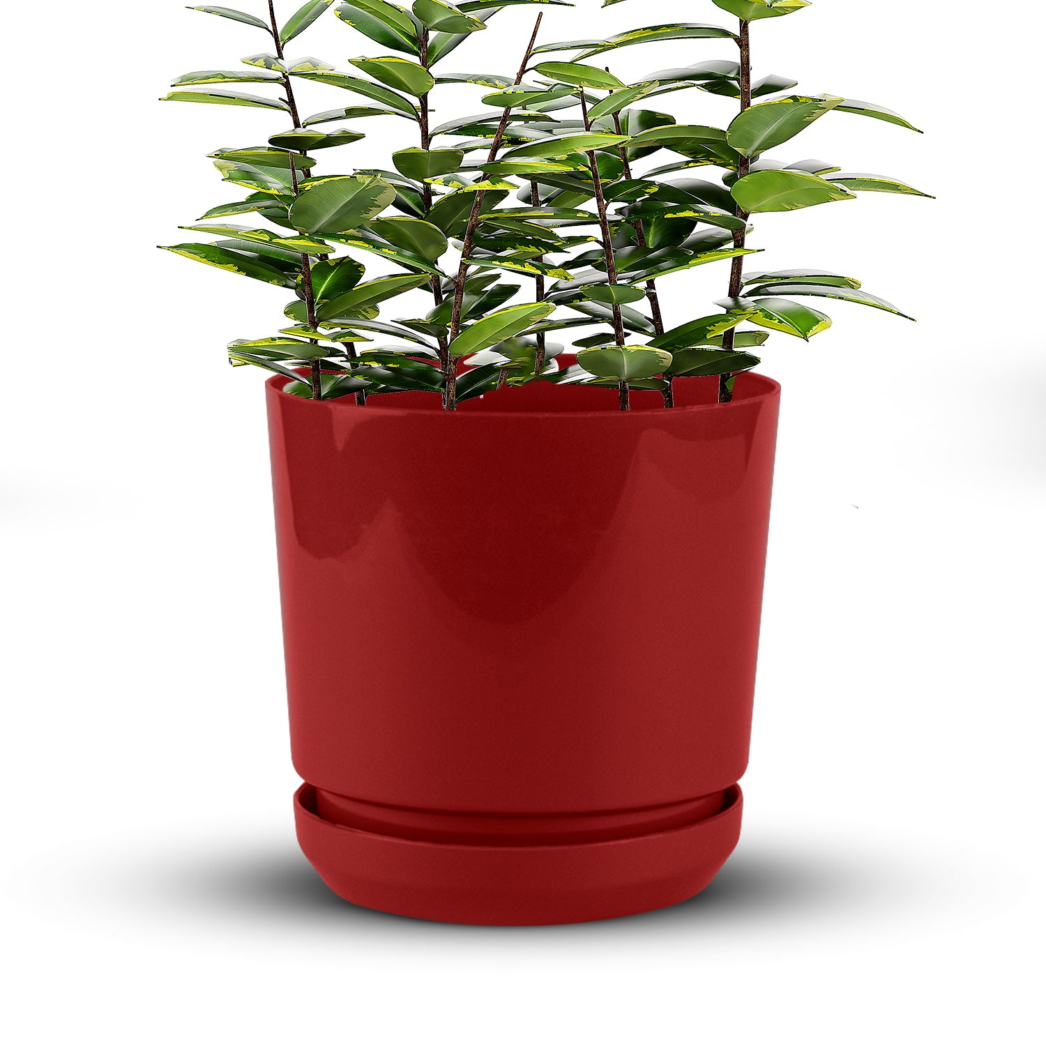 Cylindrical Pot 8" - Artistic Line