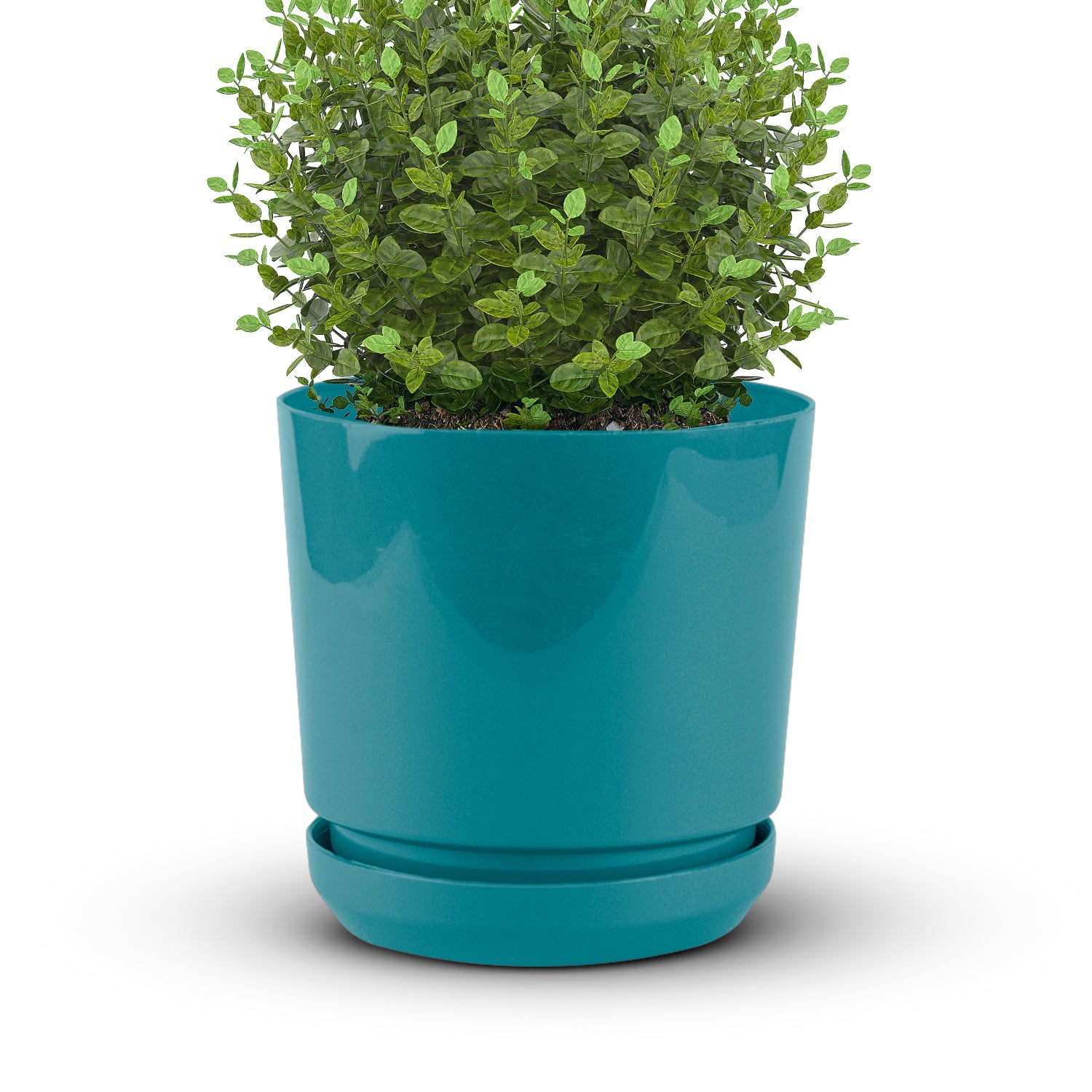 Cylindrical Pot 8" - Artistic Line