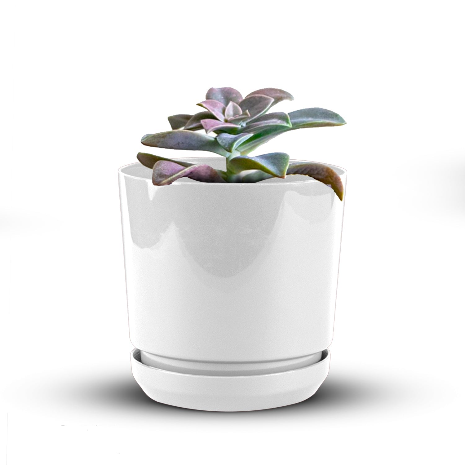 Pot - Artistic Line