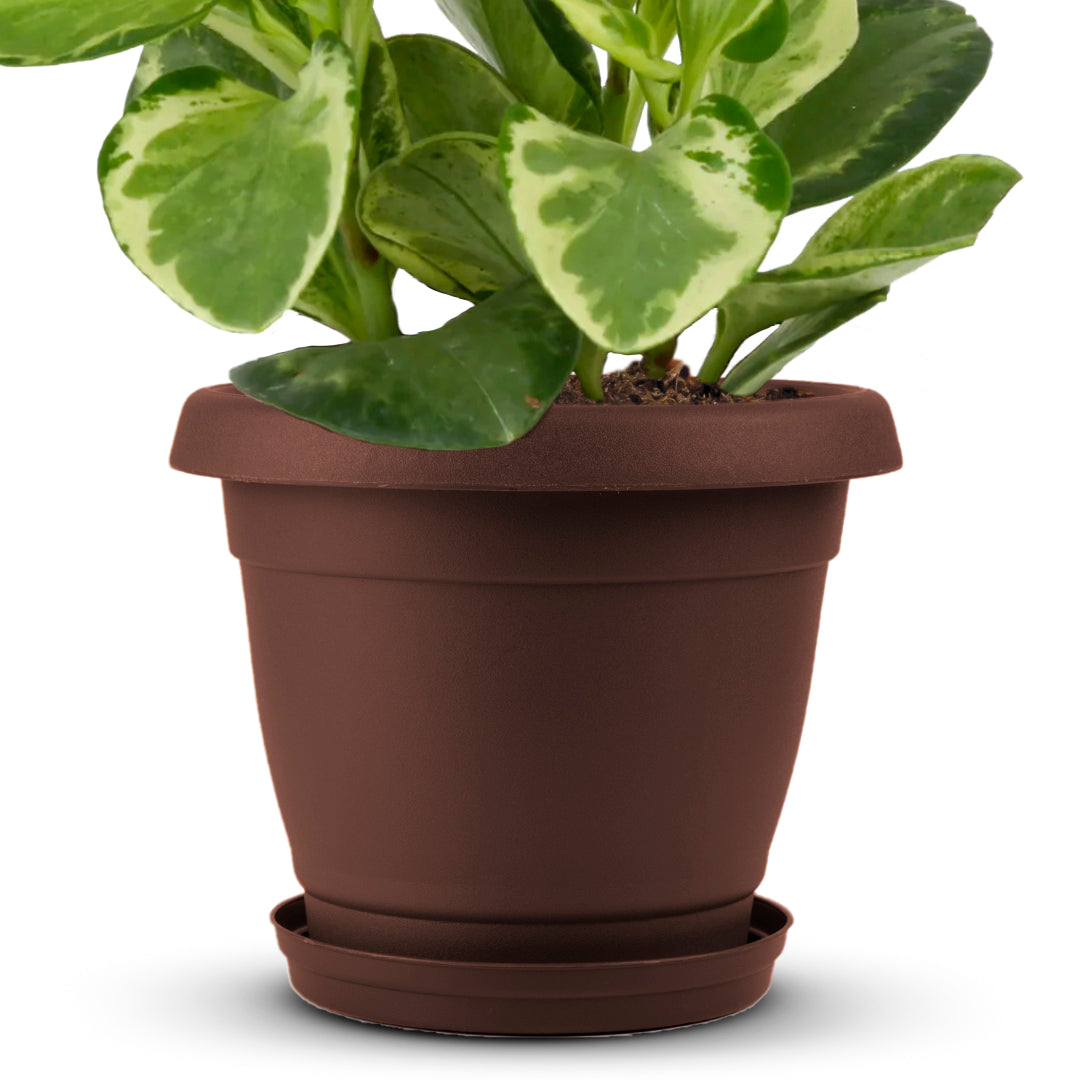 Planter 13" - Classic Line.