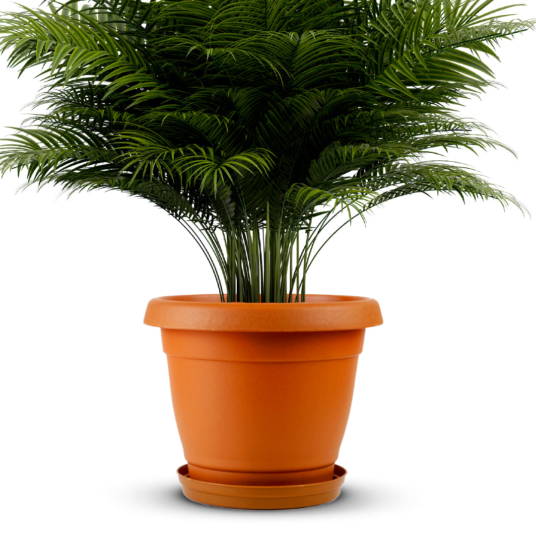 planters for palm plants Planter 22"
