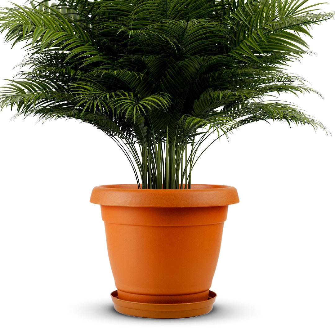 Planter - Classic Line.