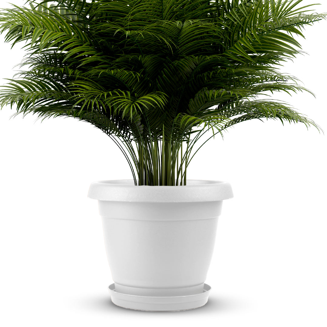 Planter 22" - Classic Line.