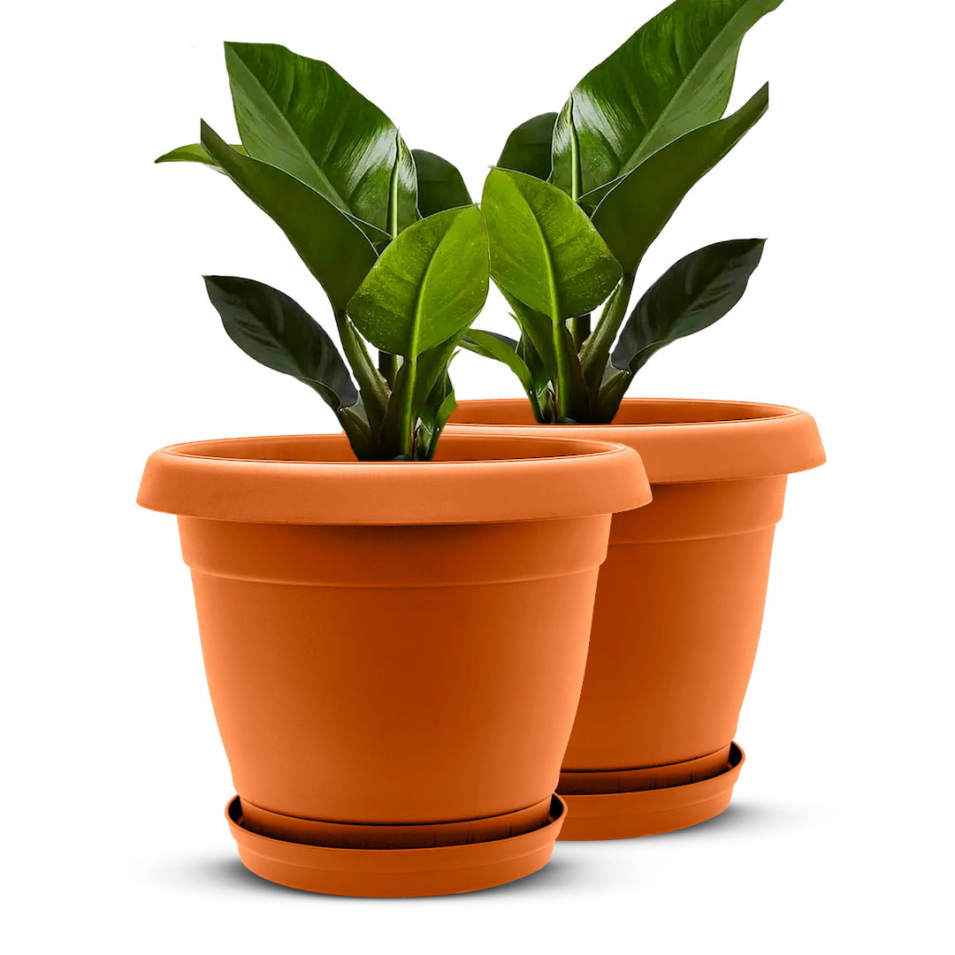 Planter 22" - Classic Line.