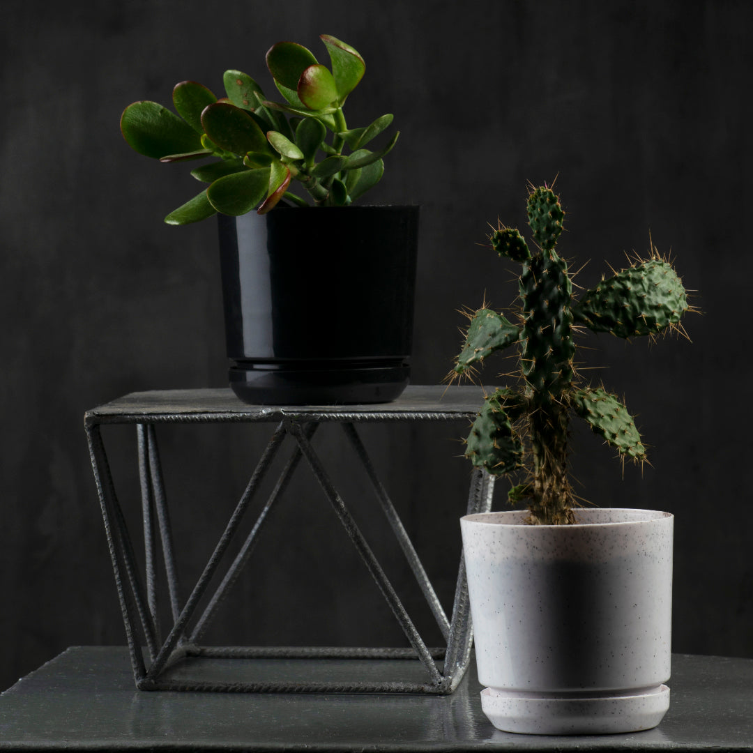 Cylindrical Pot 4" - Artistic Line
