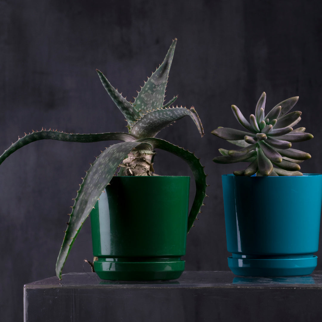 Pot - Artistic Line