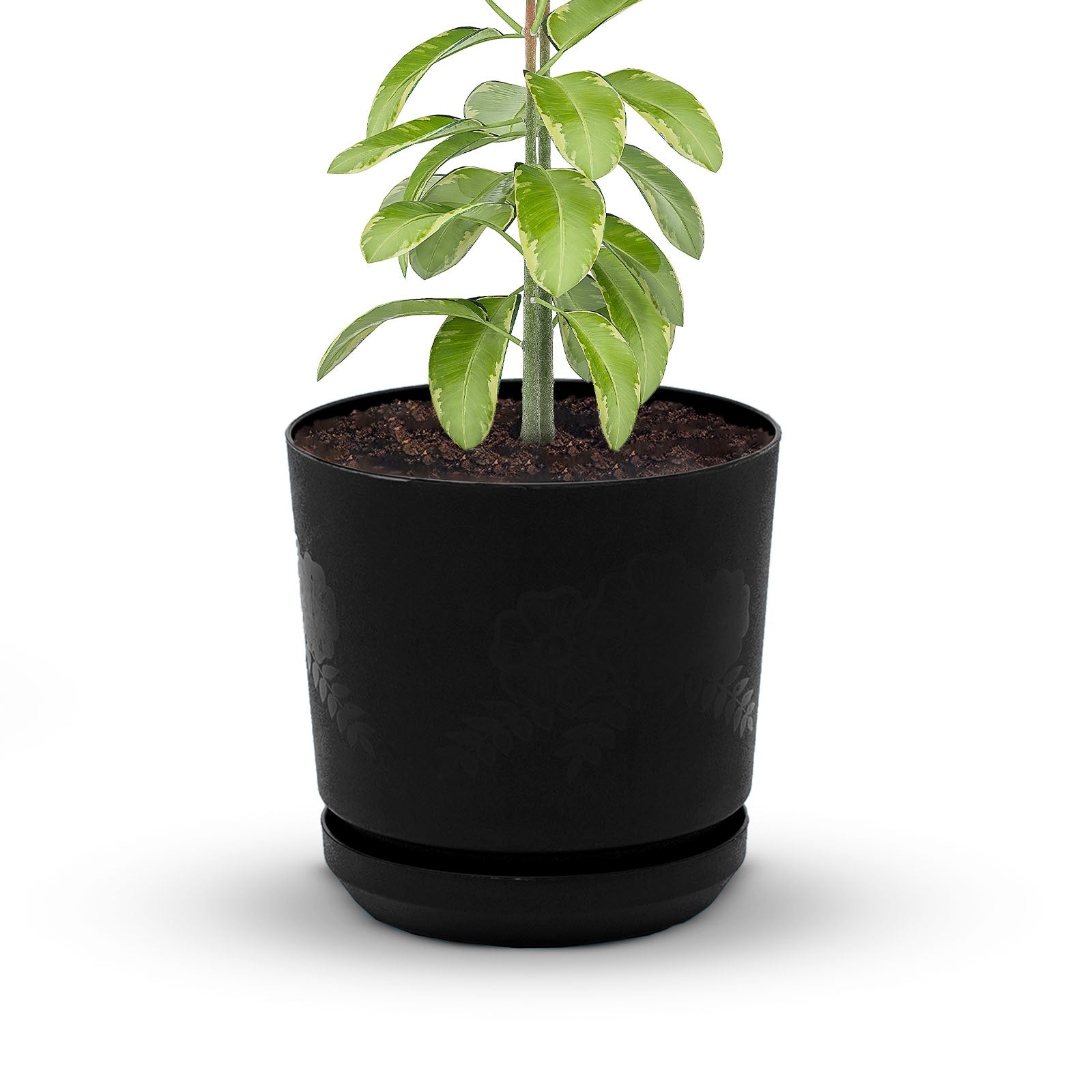 Cylindrical Pot 12