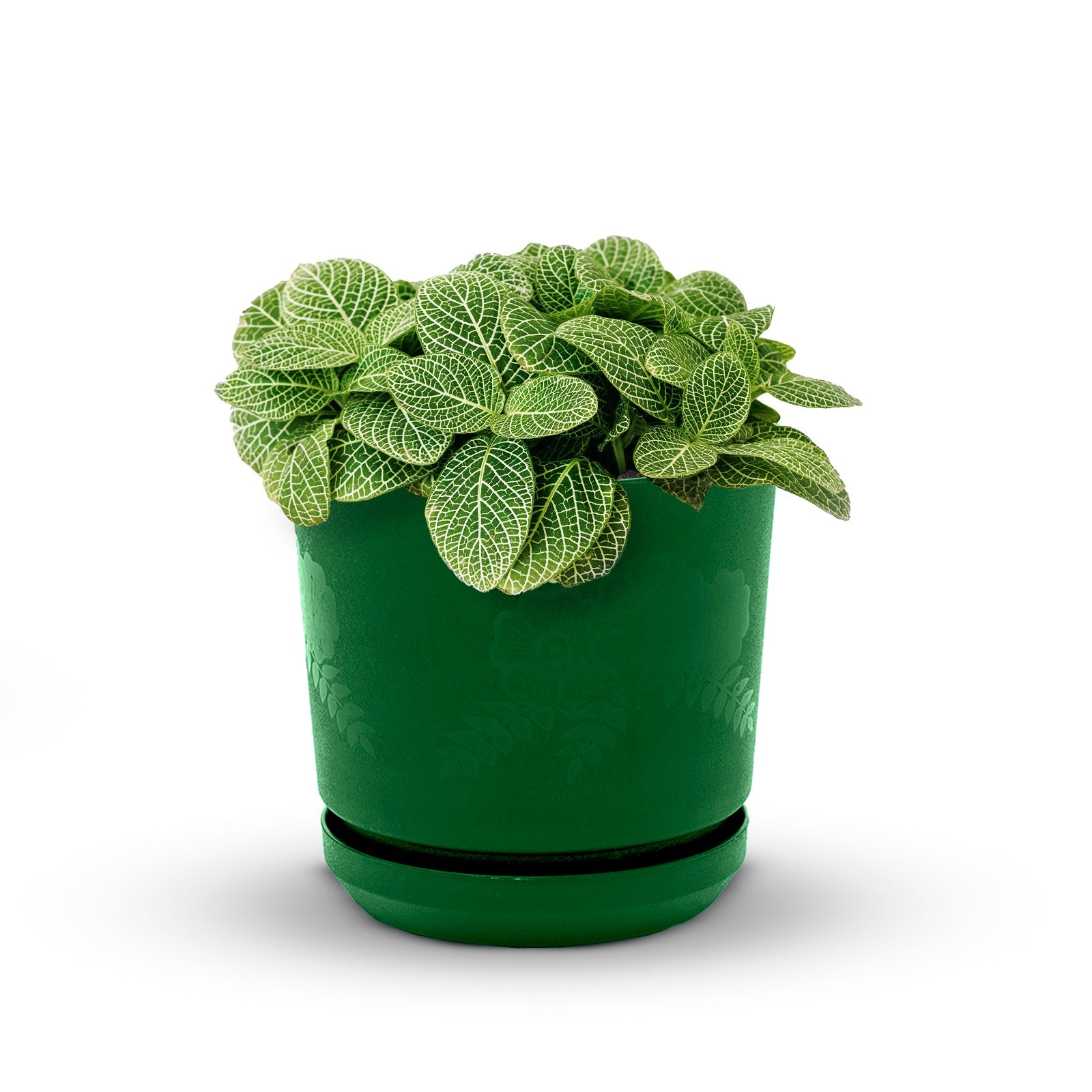 Cylindrical Pot 12" Floral - Artistic Line