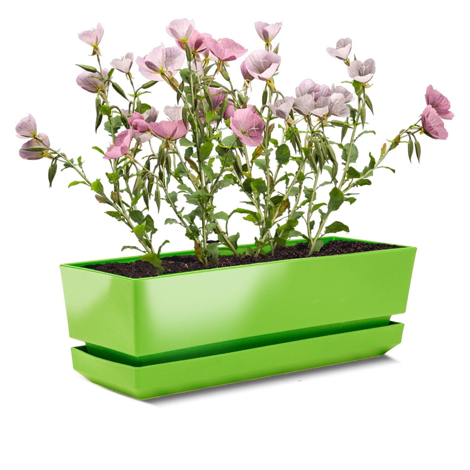 Window Box 12" L30 - Artistic Line