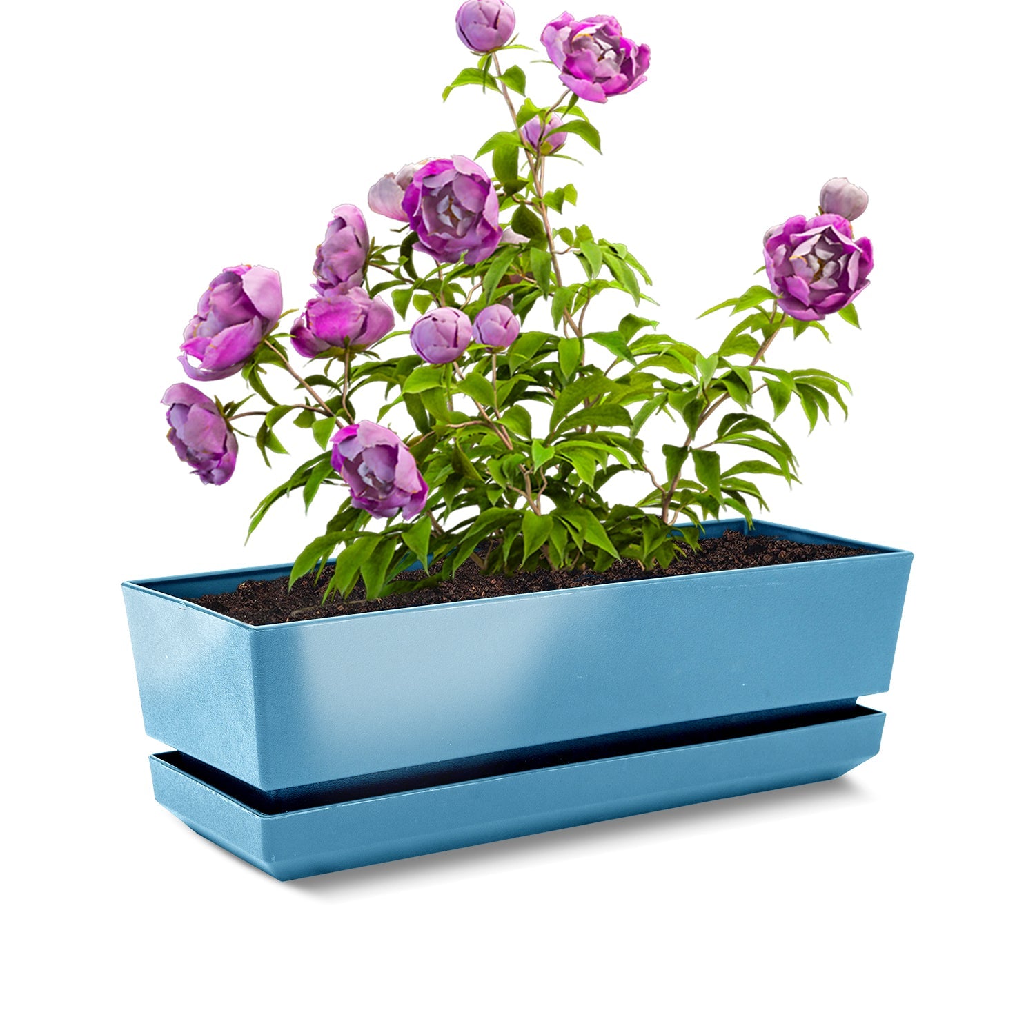 Window Box 12" L30 - Artistic Line