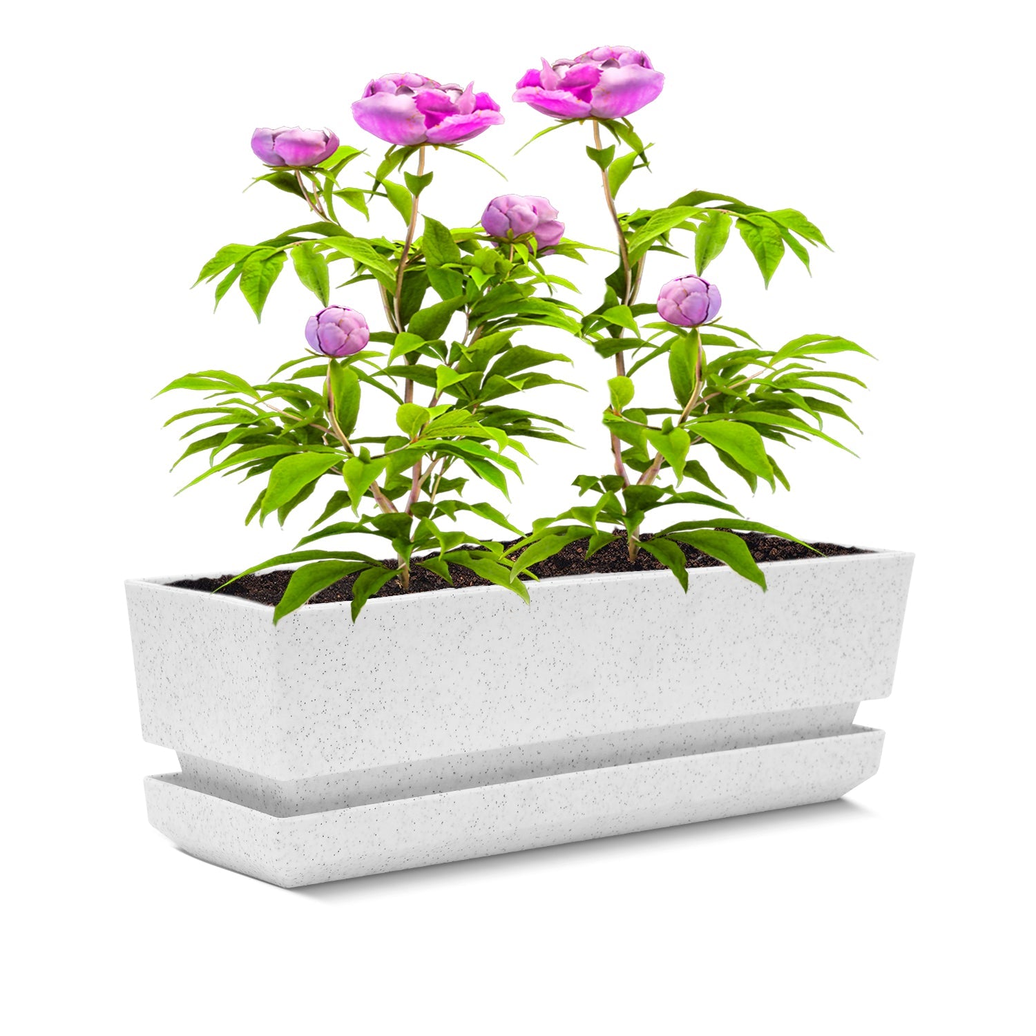 Window Box 12" L30 - Artistic Line