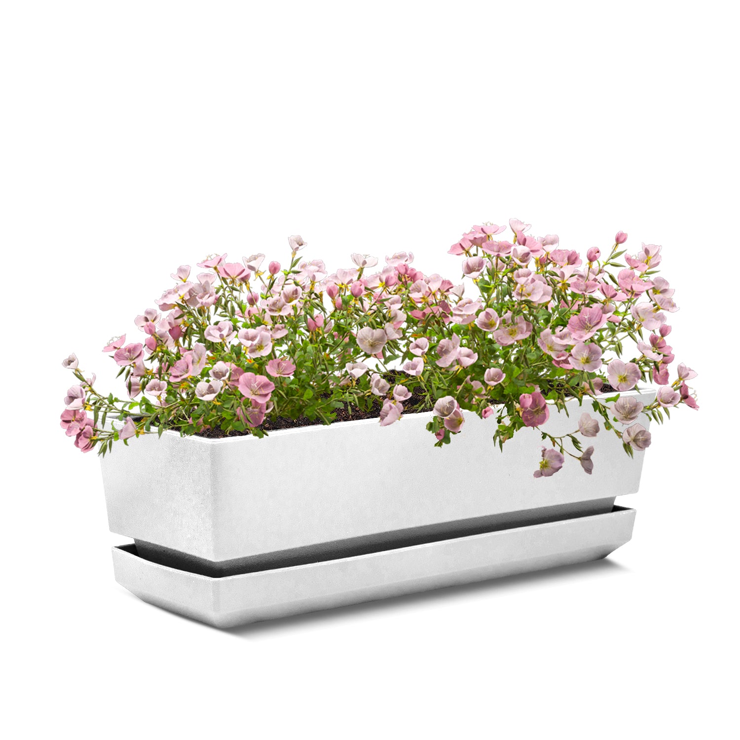 Rectangular Pot 12" L30 Smooth Finish - Artistic Line