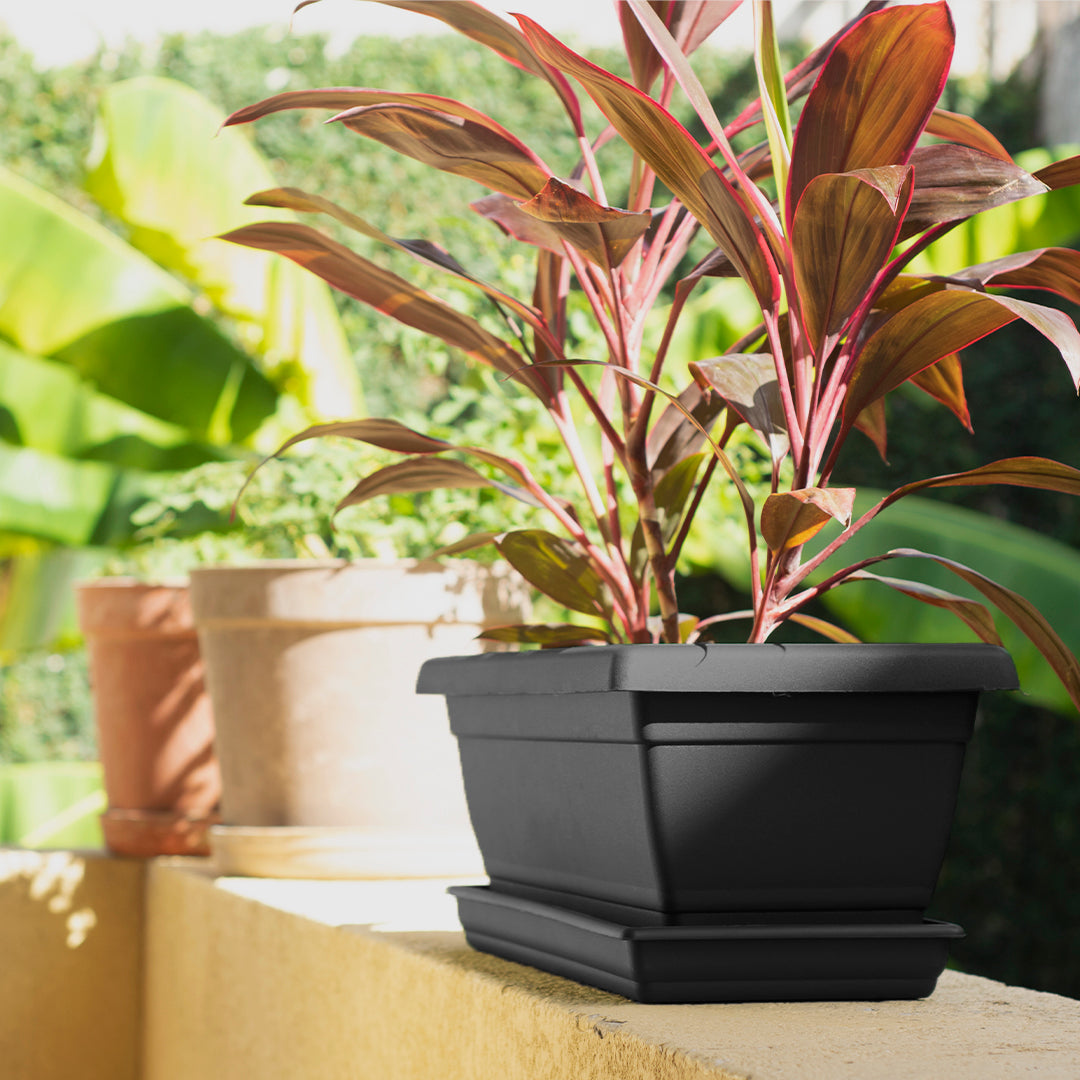 Rectangular Flower Pot 20" D52 Black - Classic Line.