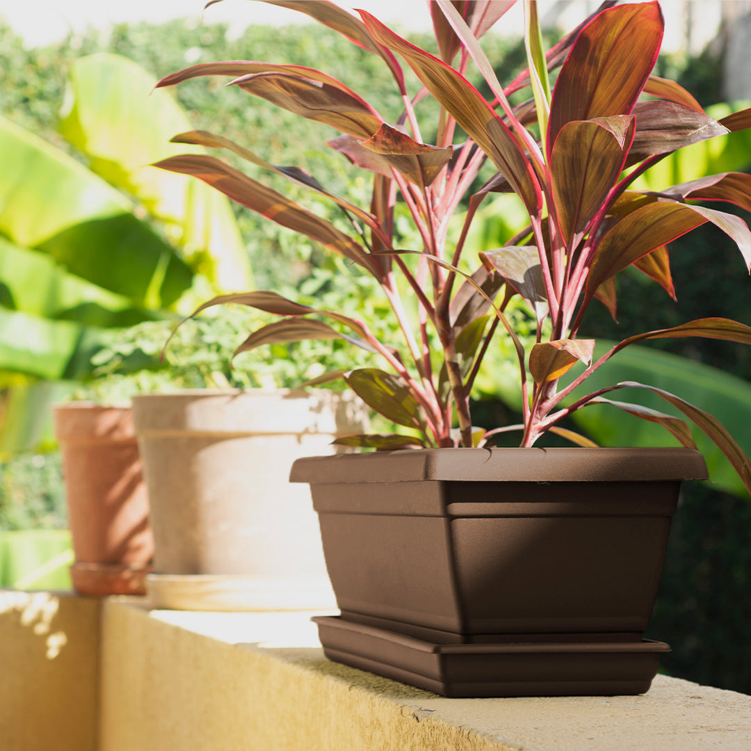 Rectangular Flower Pot 20" D52 Brown - Classic Line.