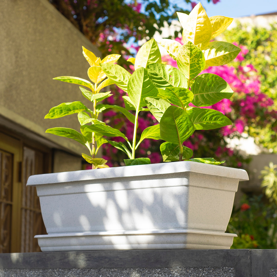 Rectangular Flower Pot 20" D52 Granite - Classic Line.