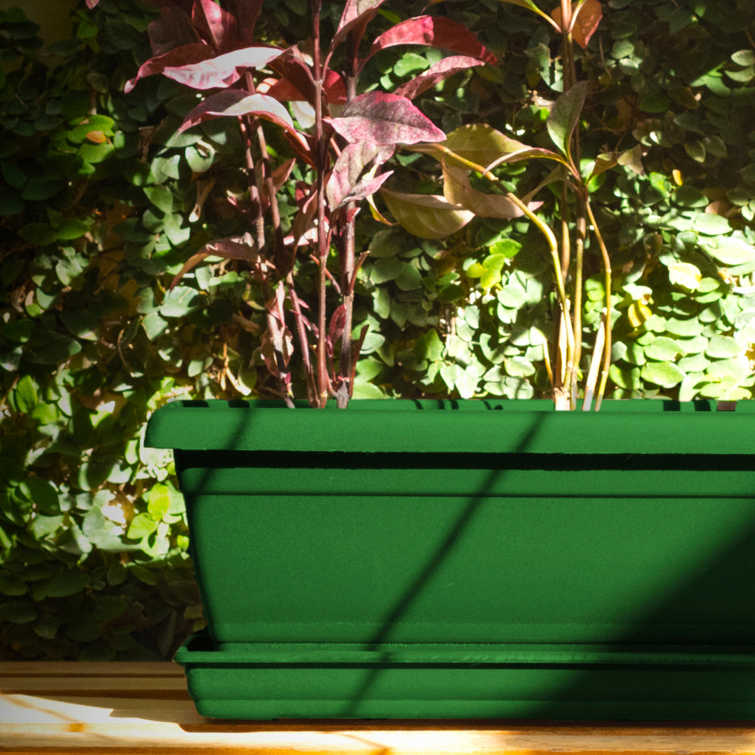 Rectangular Flower Pot 20" D52 Green - Classic Line.