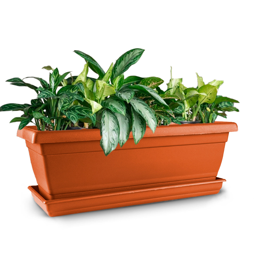 rectangular plant pots indoor Rectangular Flower Pot 20" D52 Terracota