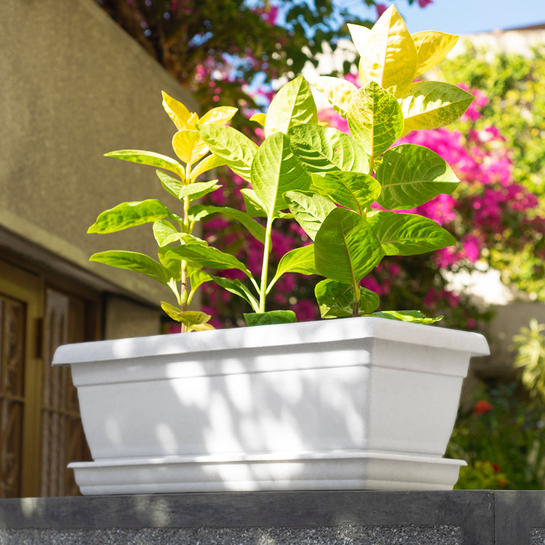 Rectangular Flower Pot 20" D52 White - Classic Line.