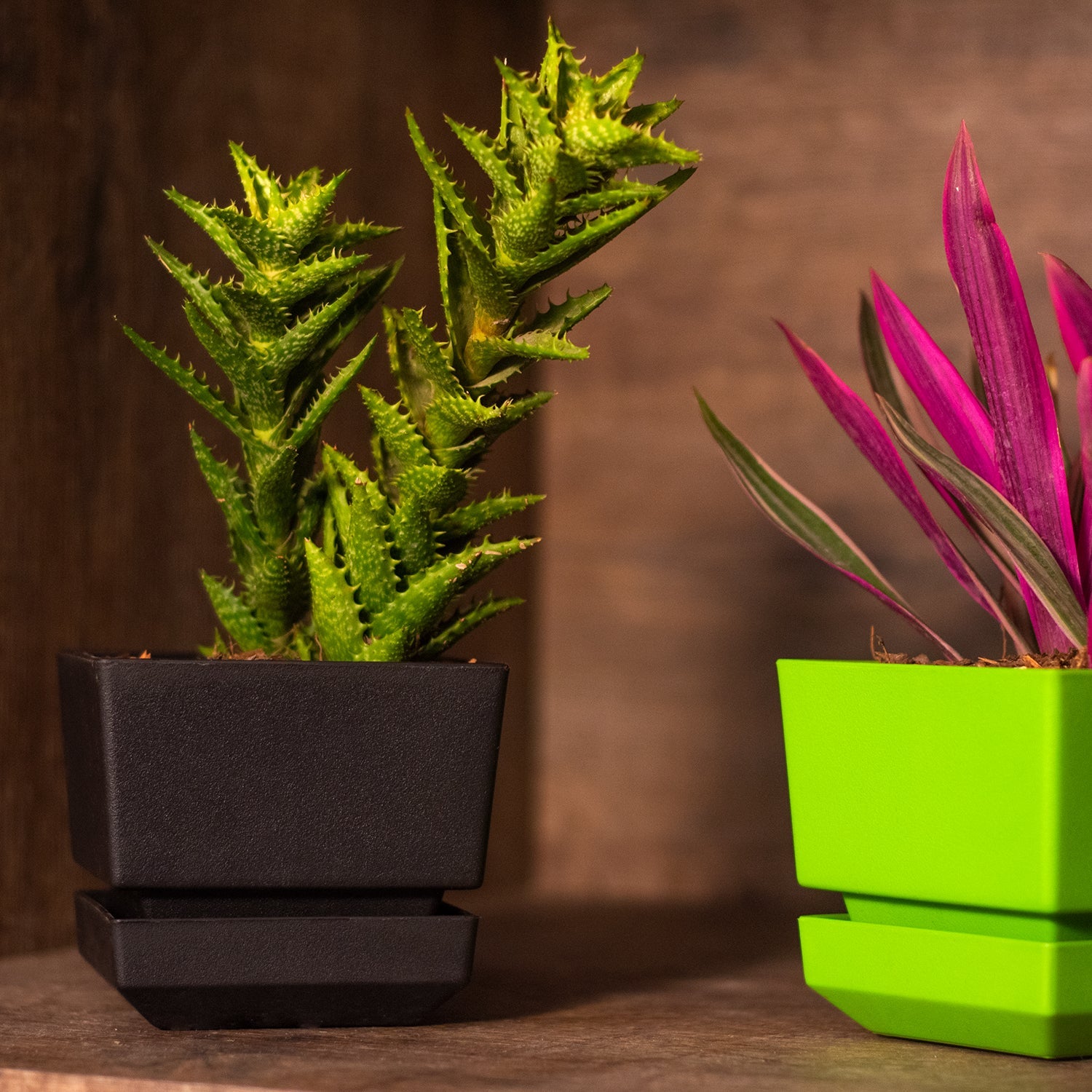 Square Pot 5" L15